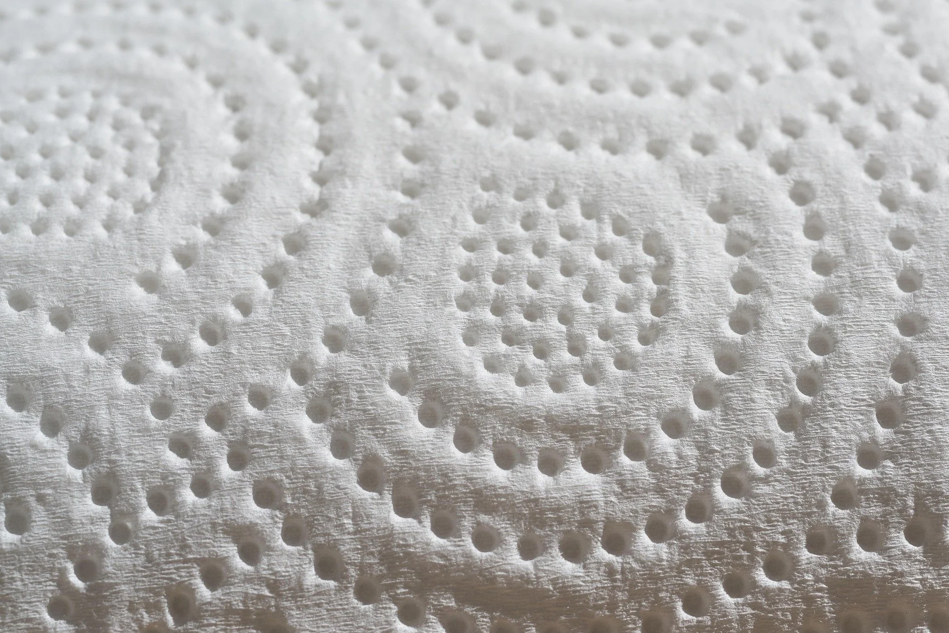 Close-up of a textured white material with evenly spaced small holes, likely a paper towel.