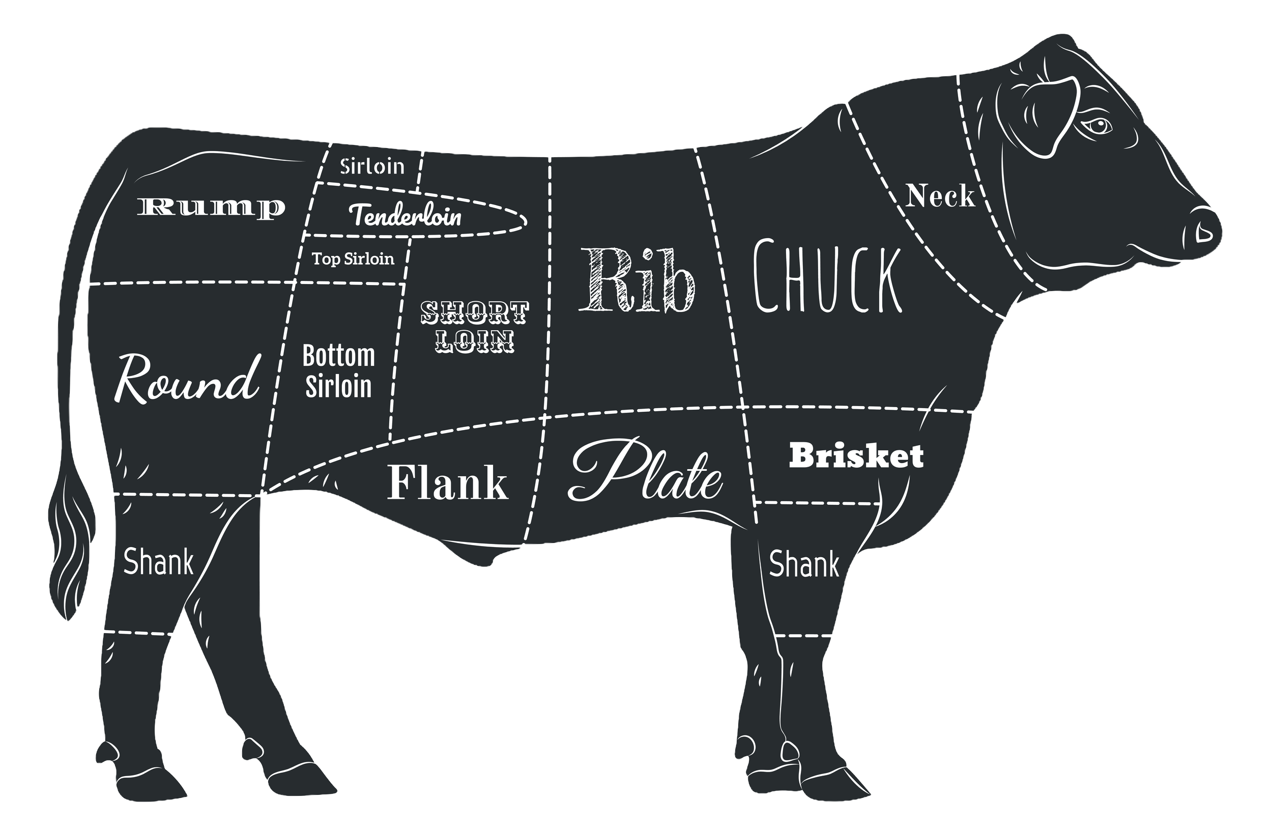 Diagram of a cow with labeled sections for different cuts of beef, including Round, Sirloin, Tenderloin, Top Sirloin, Short Loin, Rib, Chuck, Flank, Plate, Brisket, and Shank.