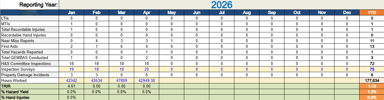 Audit Dashboard (one-time engagement)
