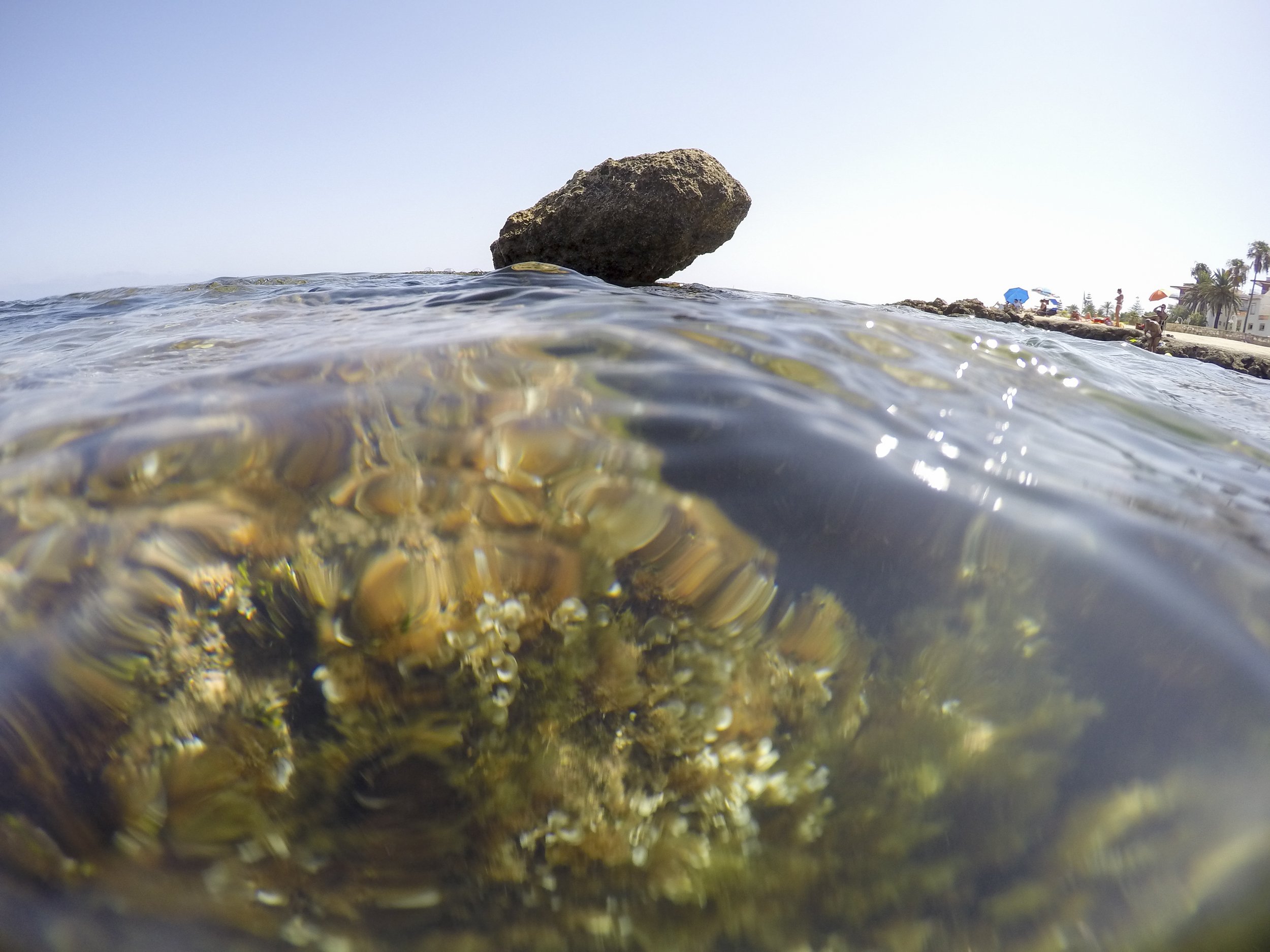 las-rotas-nature-reserve-underwater-image-denia-al-2026-03-26-00-04-57-utc.jpg