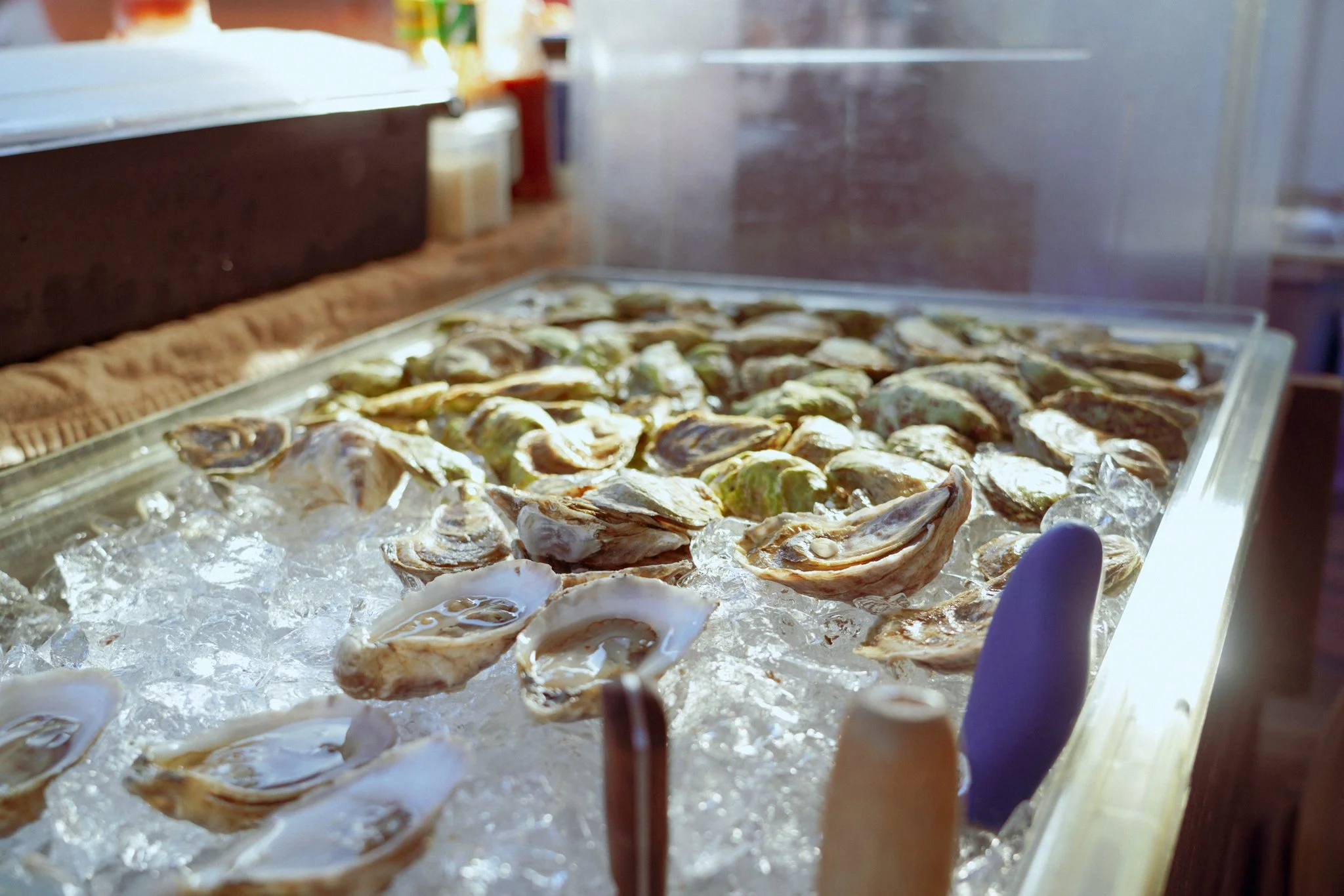 The Curious Oyster-31.jpg