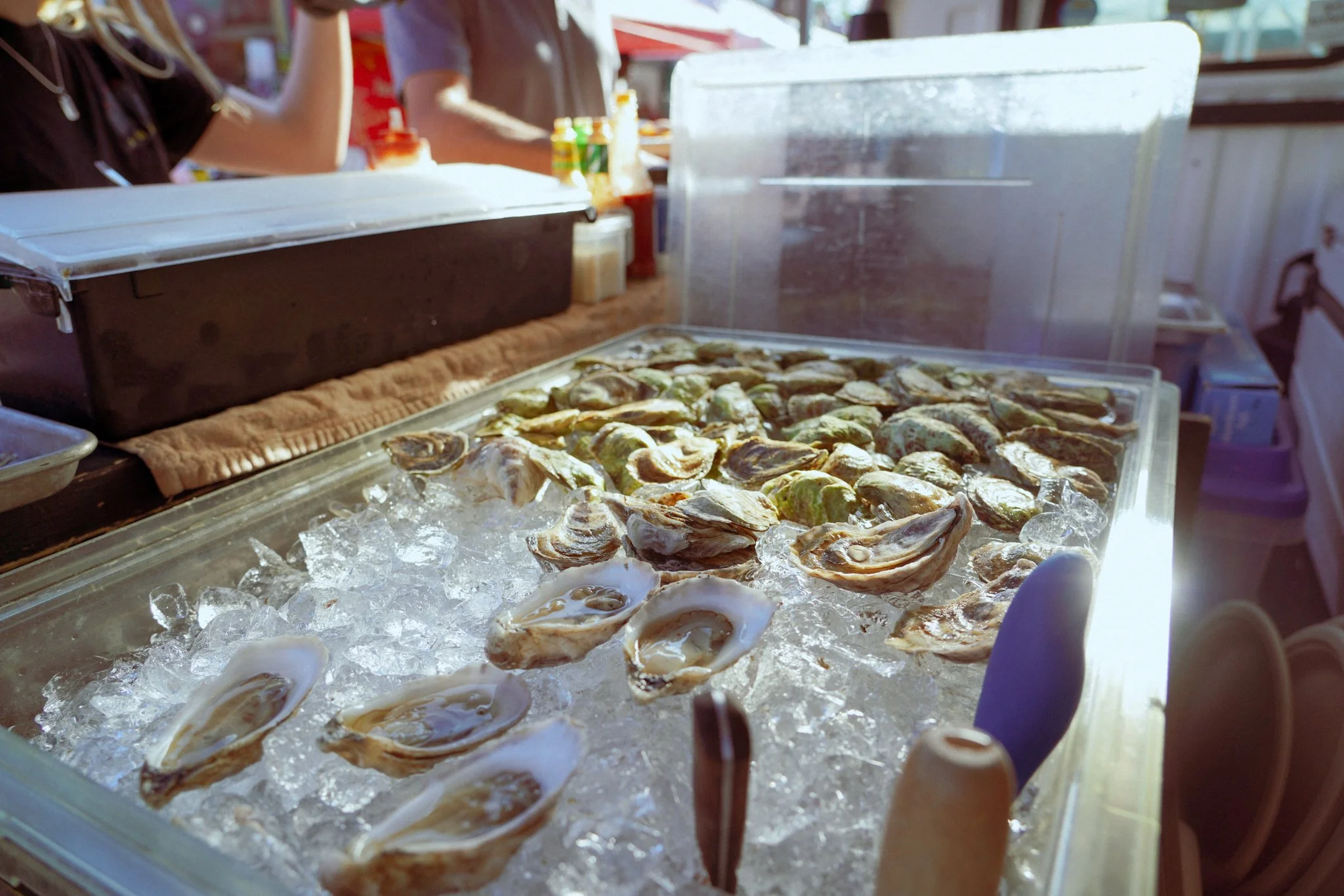The Curious Oyster-35.jpg