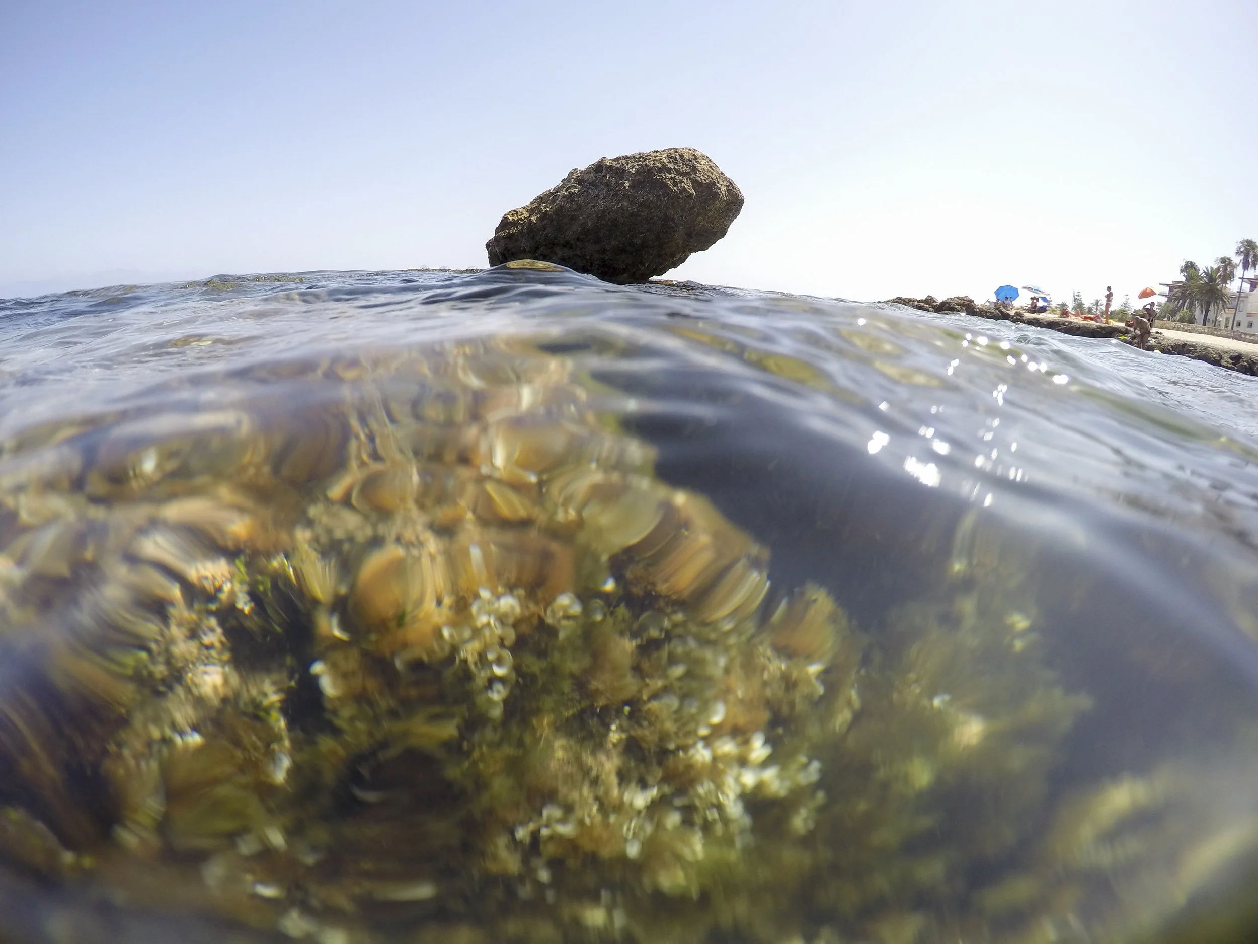 Oysters Are Kind of Magic