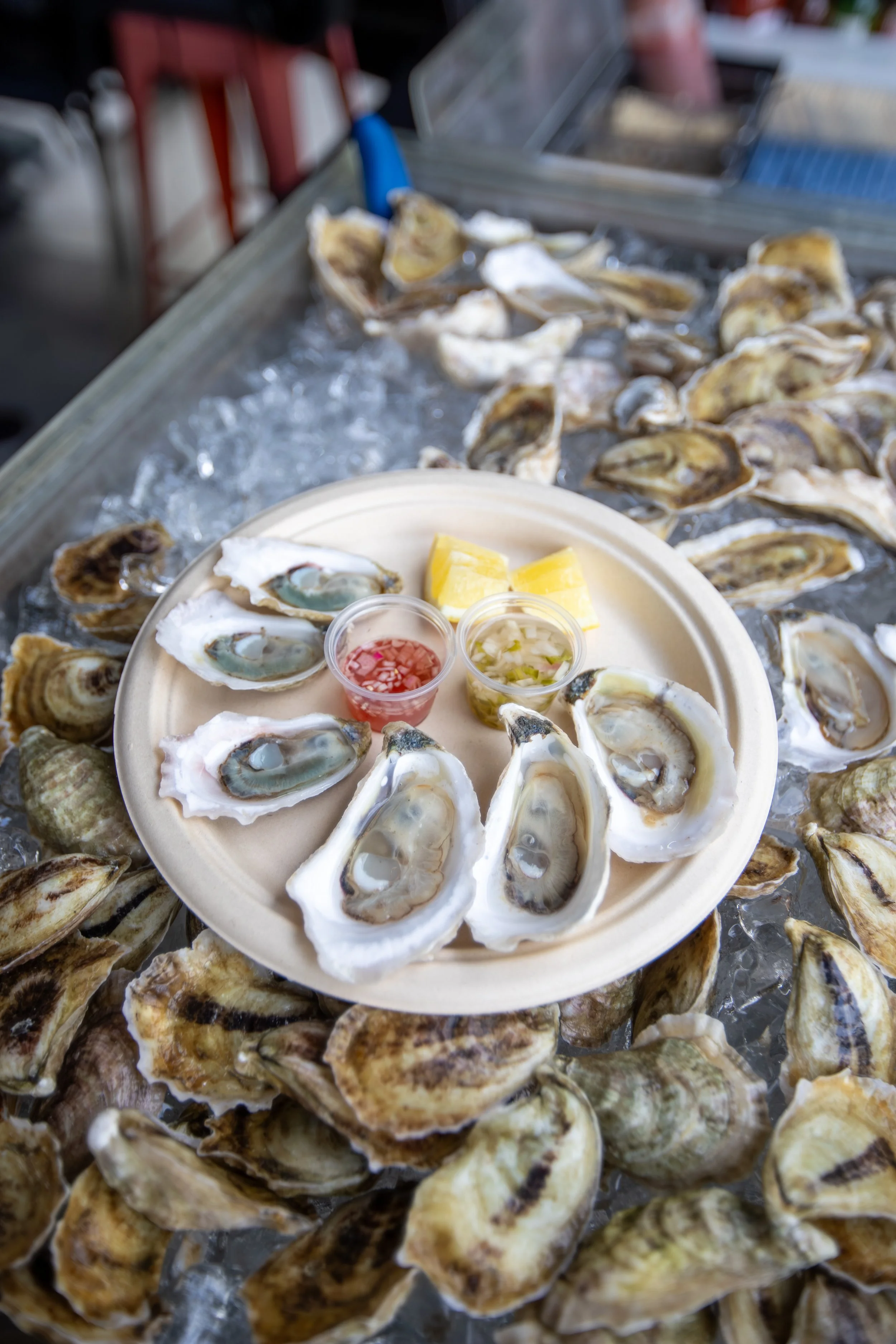 A plate of raw oysters with lemon wedges, hot sauce, and chopped onions on the side, surrounded by ice and oyster shells.
