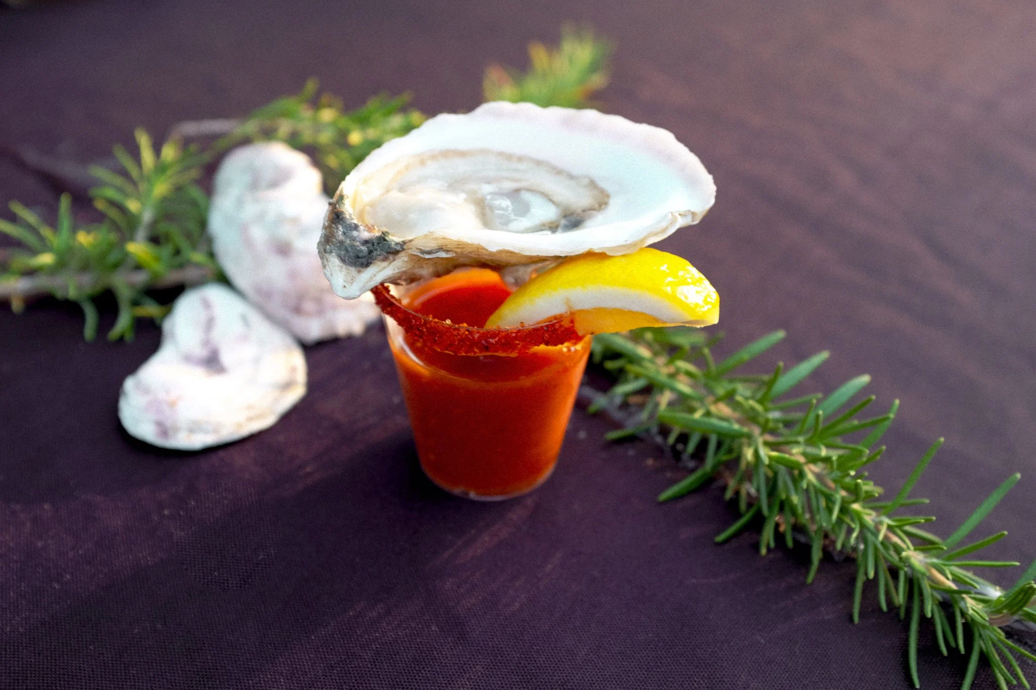 Seafood cocktail served in a glass with a shell on top, lemon wedge, and red sauce, garnished with green herbs and seashells on a dark surface.