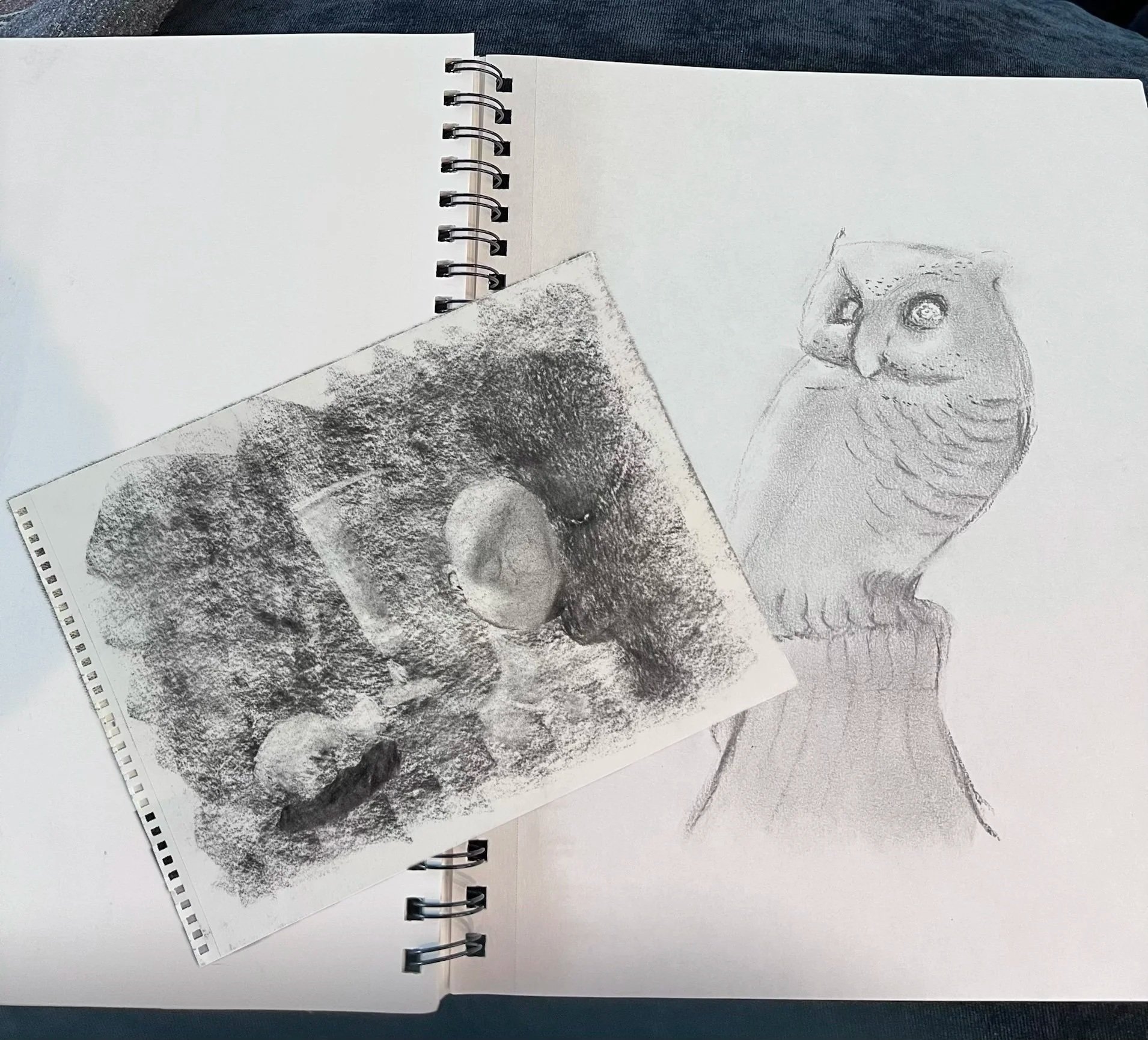 Explorations | Drawing with Charcoal