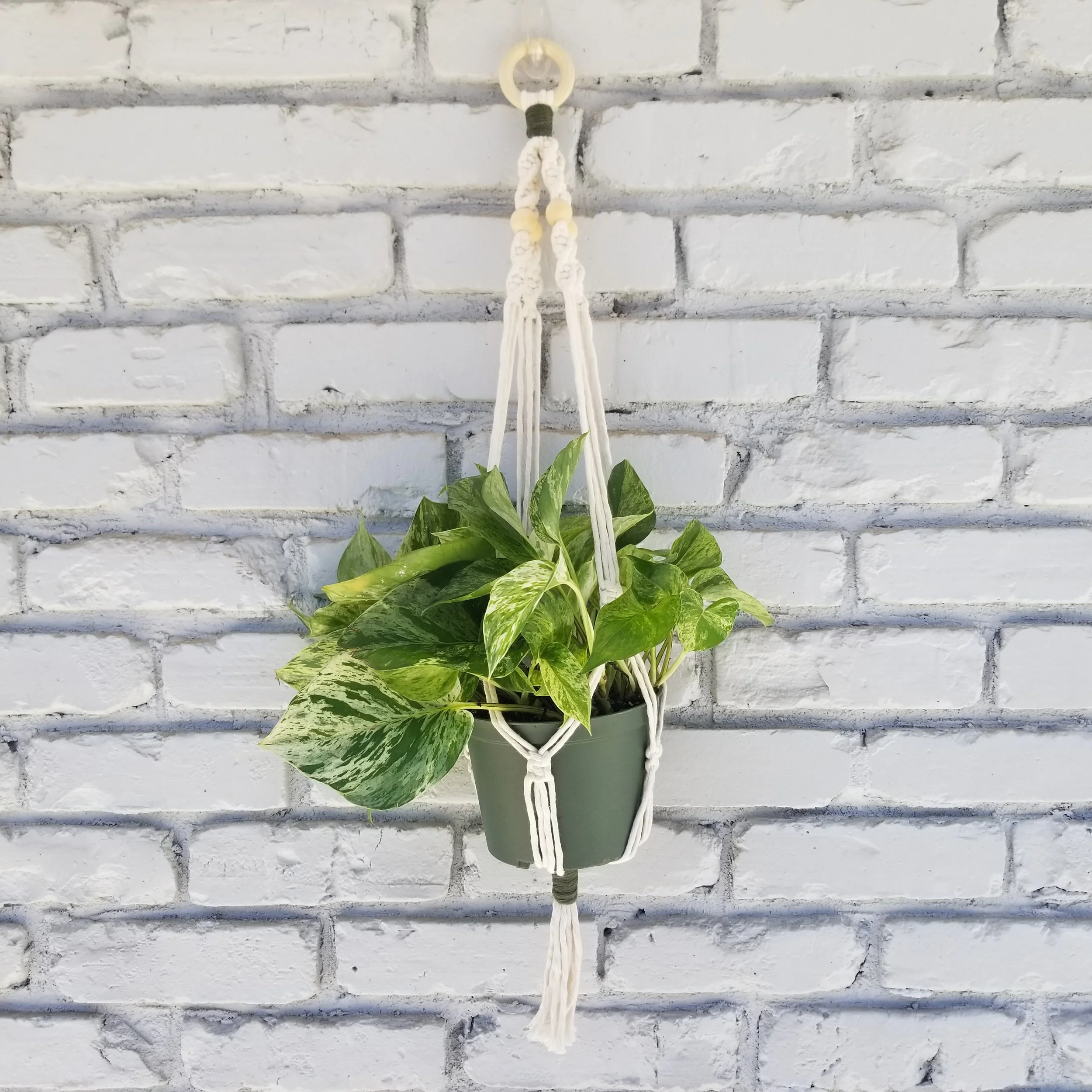 Macrame plant hanger.jpg