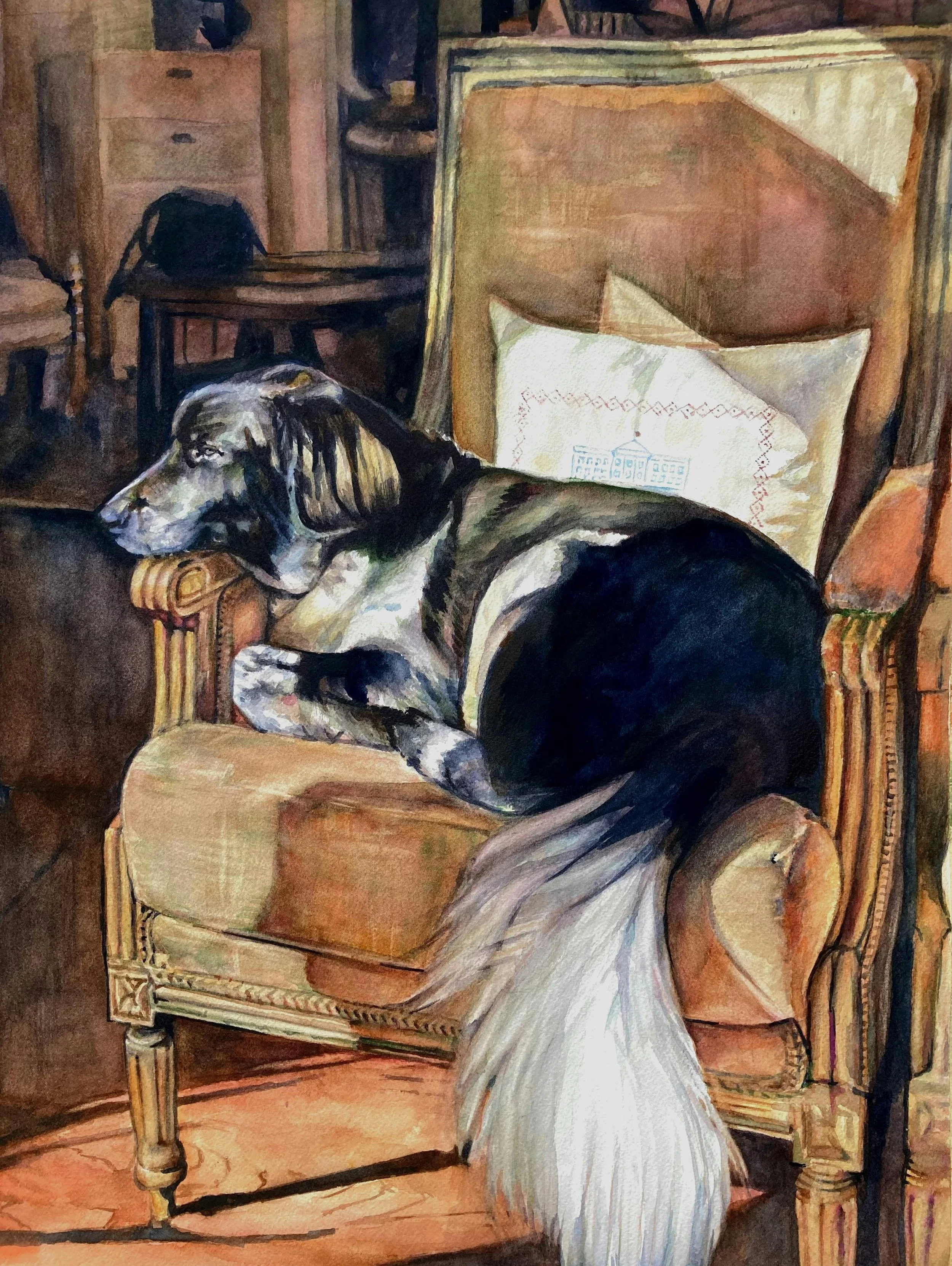 Splash! Intermediate Watercolor | Tuesdays 6:30pm-8:30pm