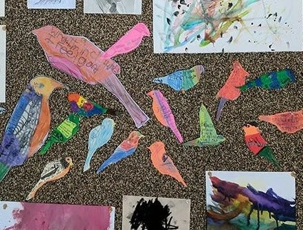 Butterflies.jpg