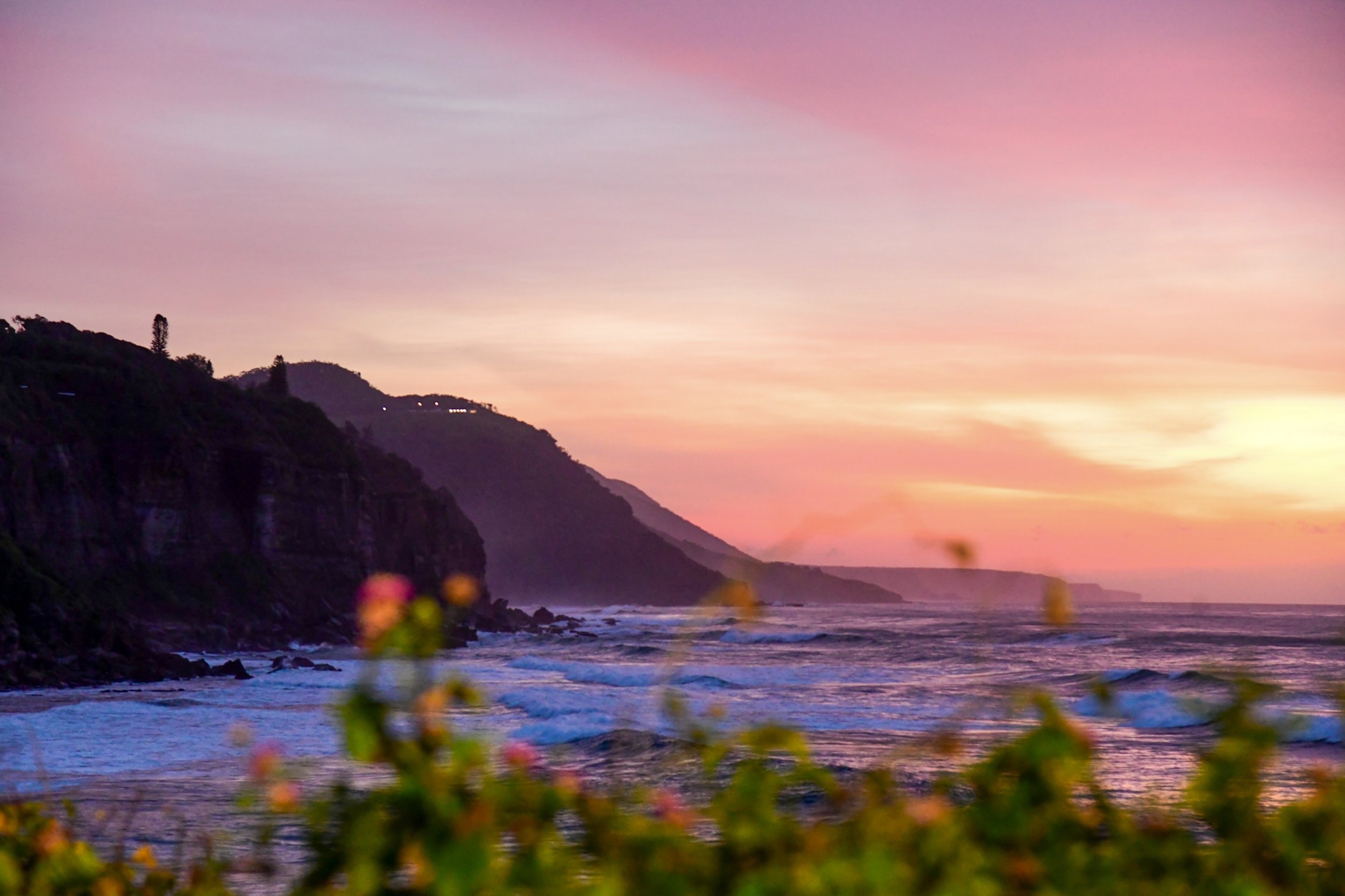 Sunset over a rocky coastline with cliffs, ocean waves, and blurred plants in the foreground.