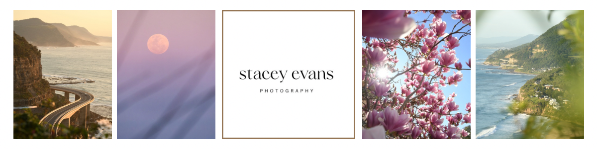 Stacey Evans Photography