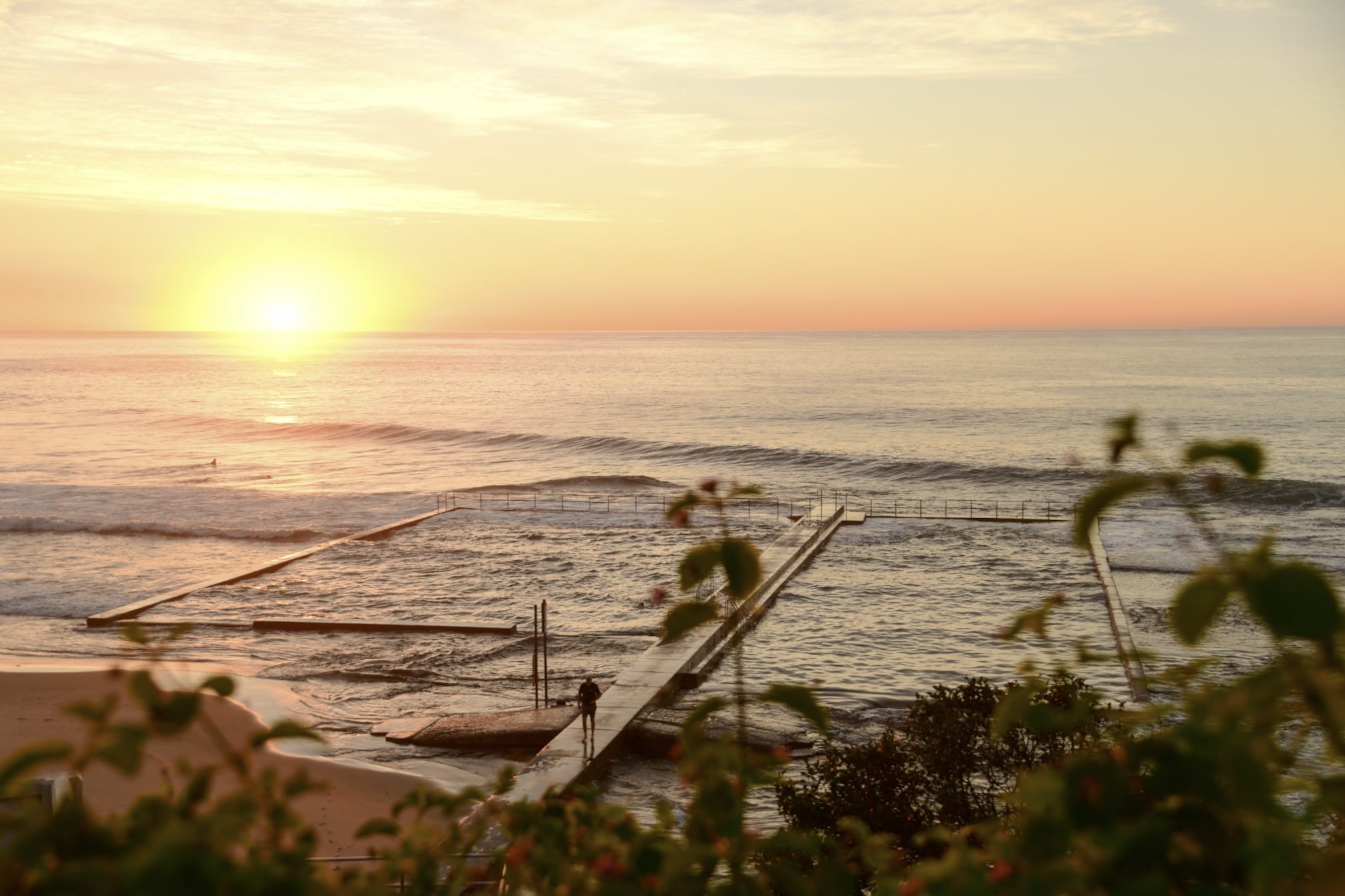 Sunset over the ocean with a pathway leading into the water, with some plants in the foreground.