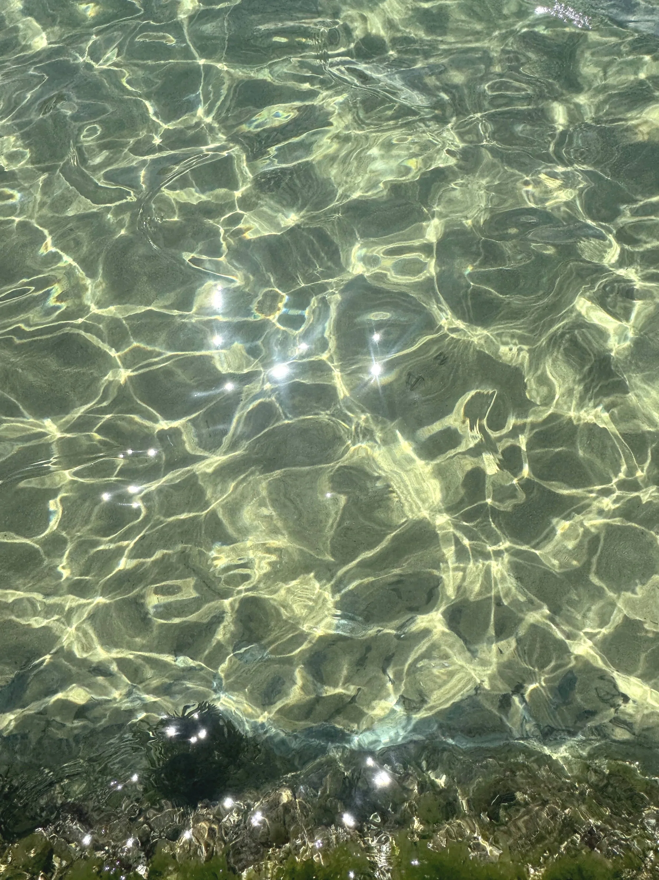 Clear water with sunlight reflections creating patterns on the bottom.
