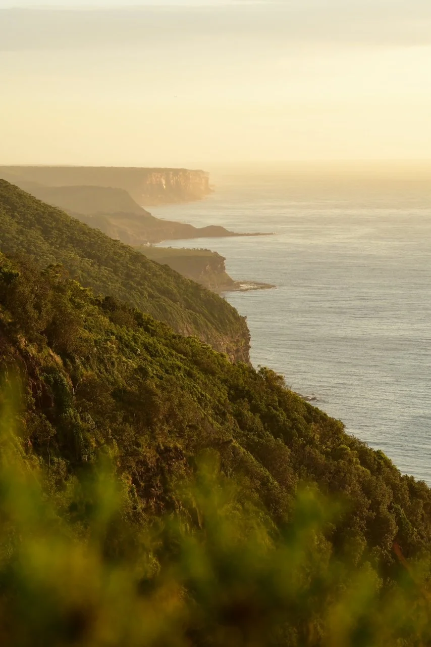 Coastline Series • Royal National Park