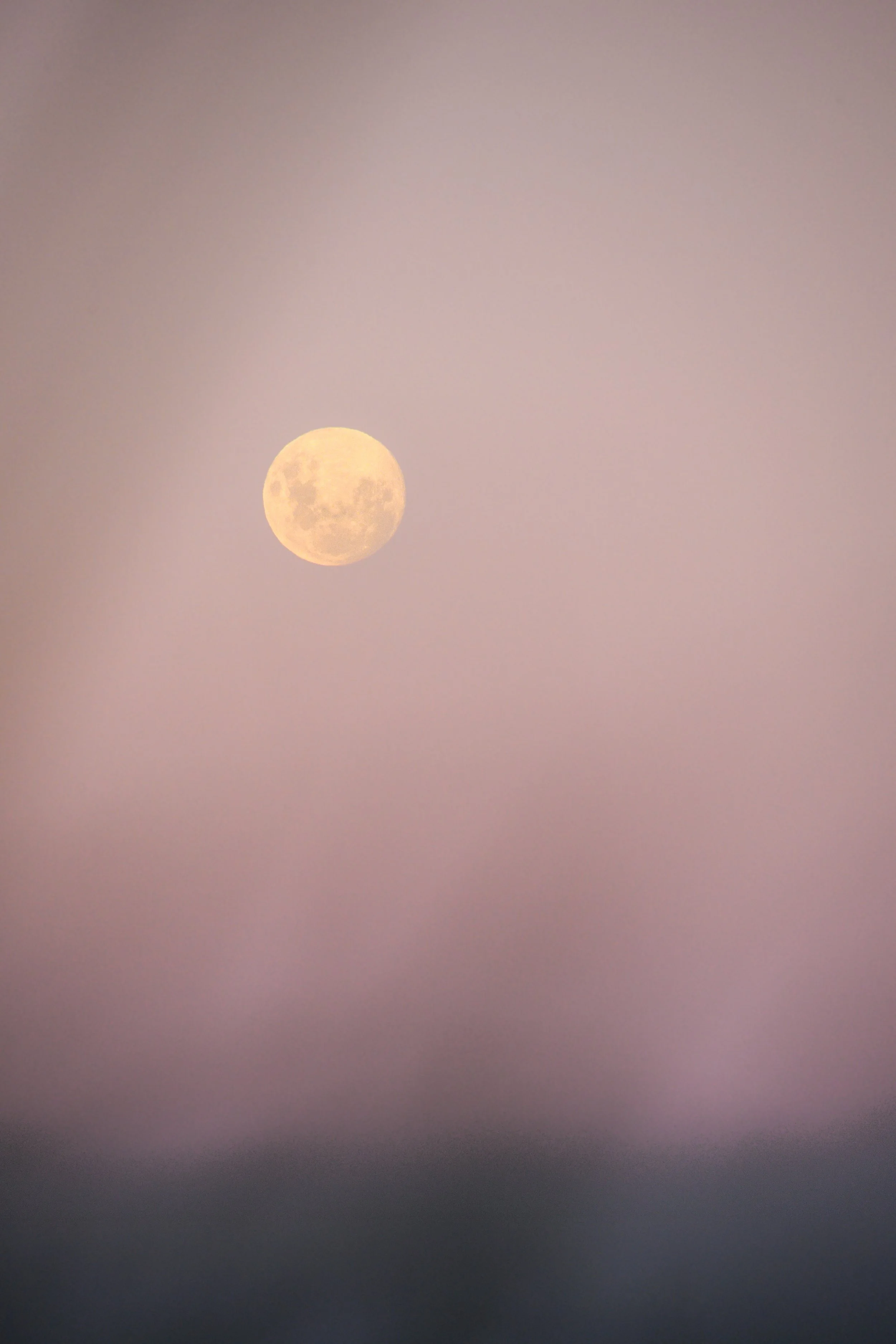 A full moon in a pinkish-purple sky during dusk or dawn.