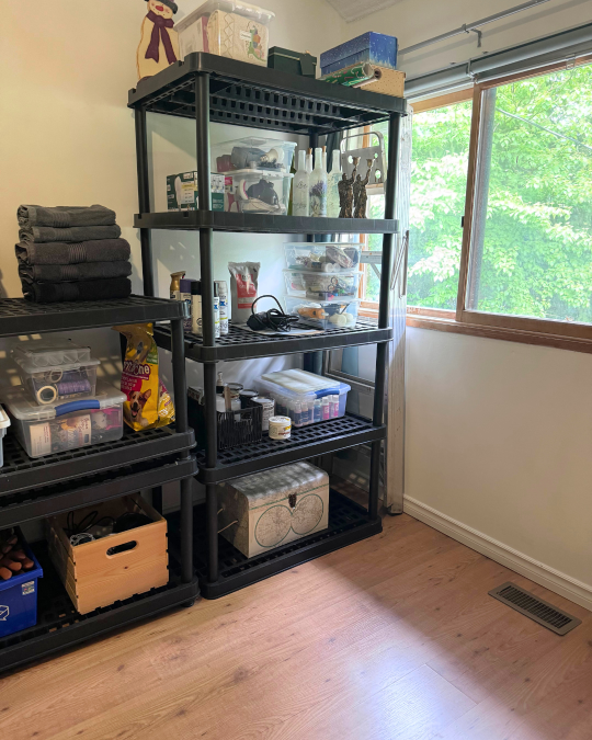 catch-all-room-organization-decluttering-storage-solutions-professional-organizer-midland-ontario-home-organization-sorted-by-joy6.png