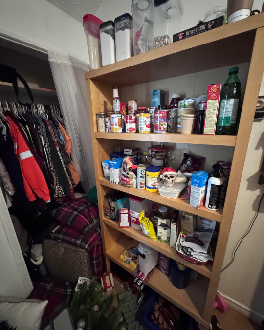catch-all-room-organization-decluttering-storage-solutions-professional-organizer-midland-ontario-home-organization-sorted-by-joy2.png