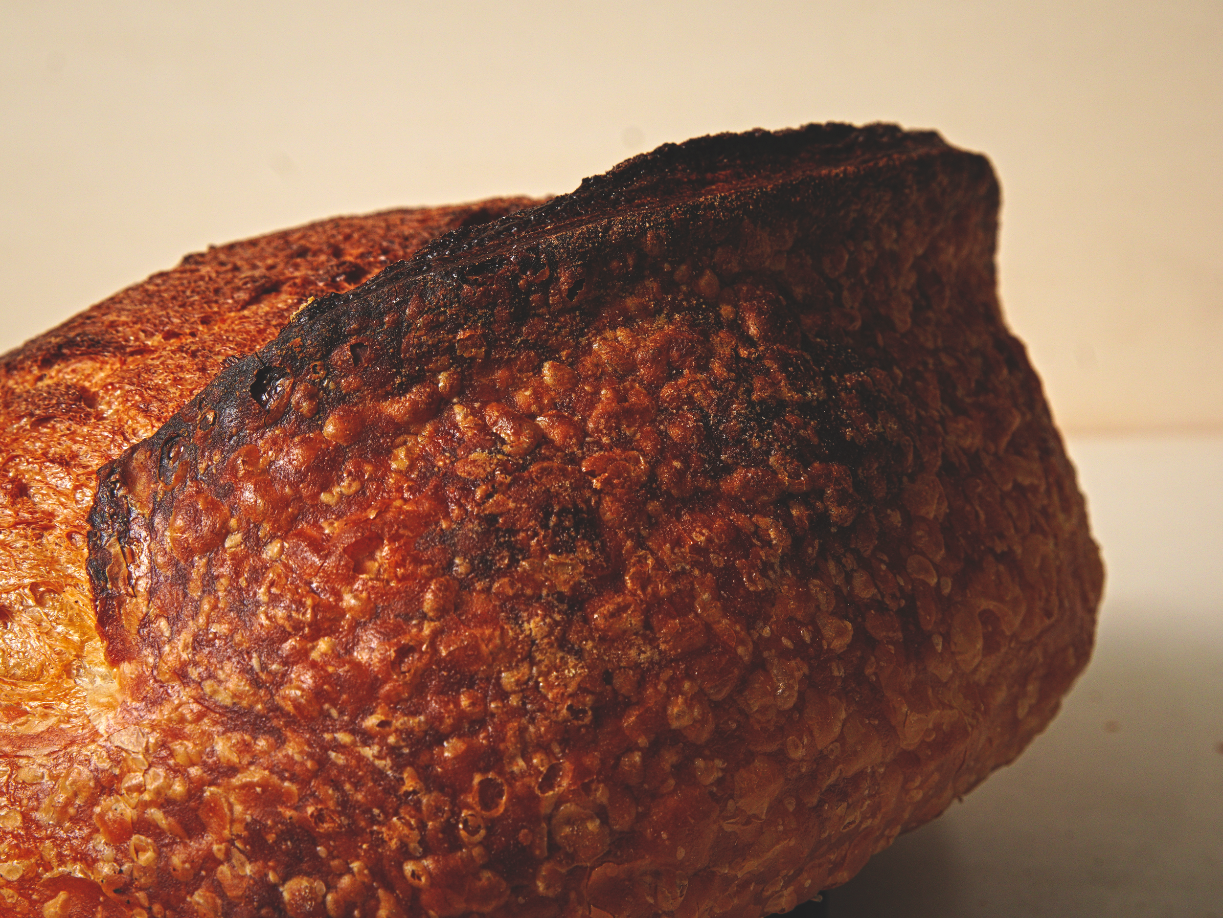 Wheat Sourdough Batard1.png