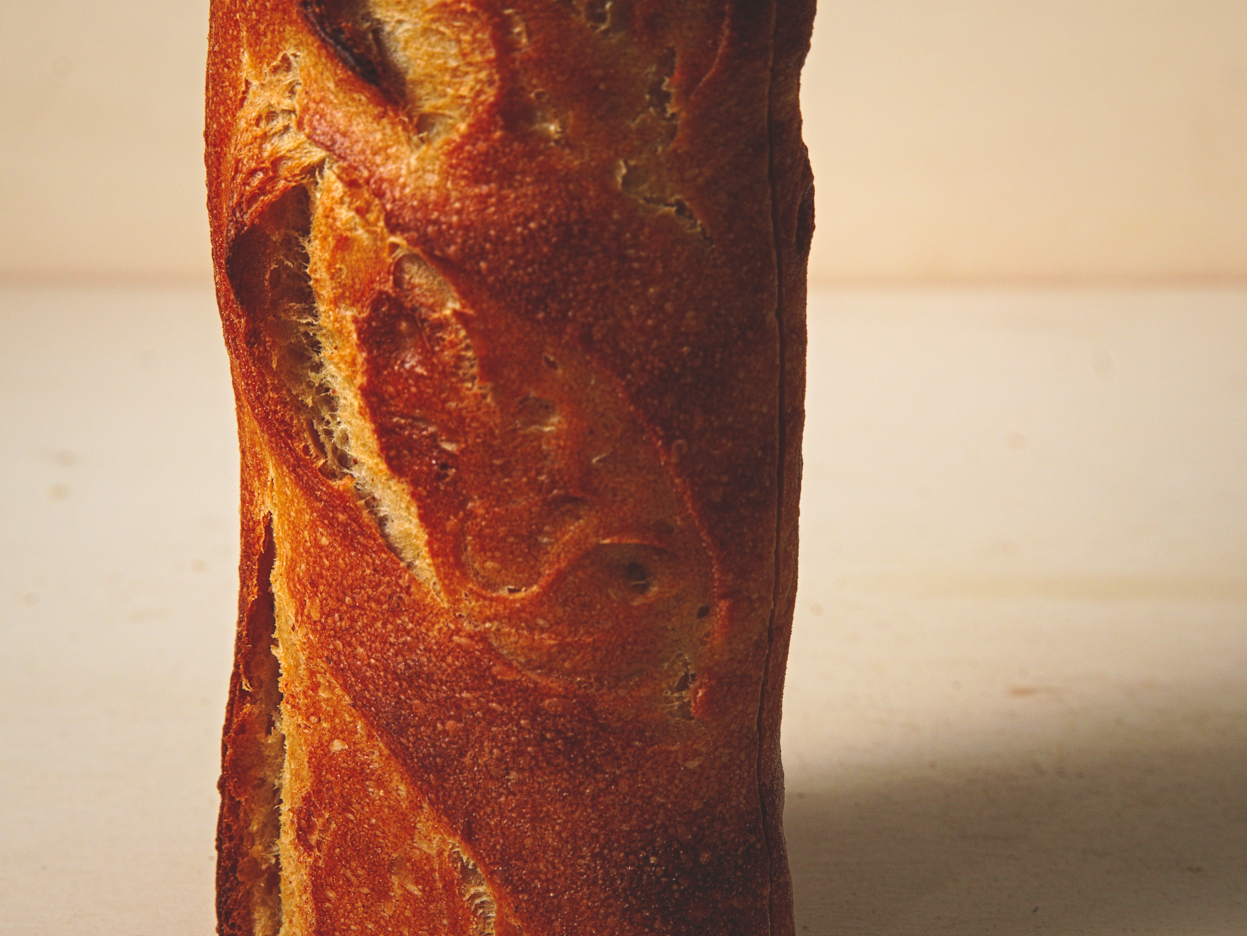 Traditional Baguette1.png
