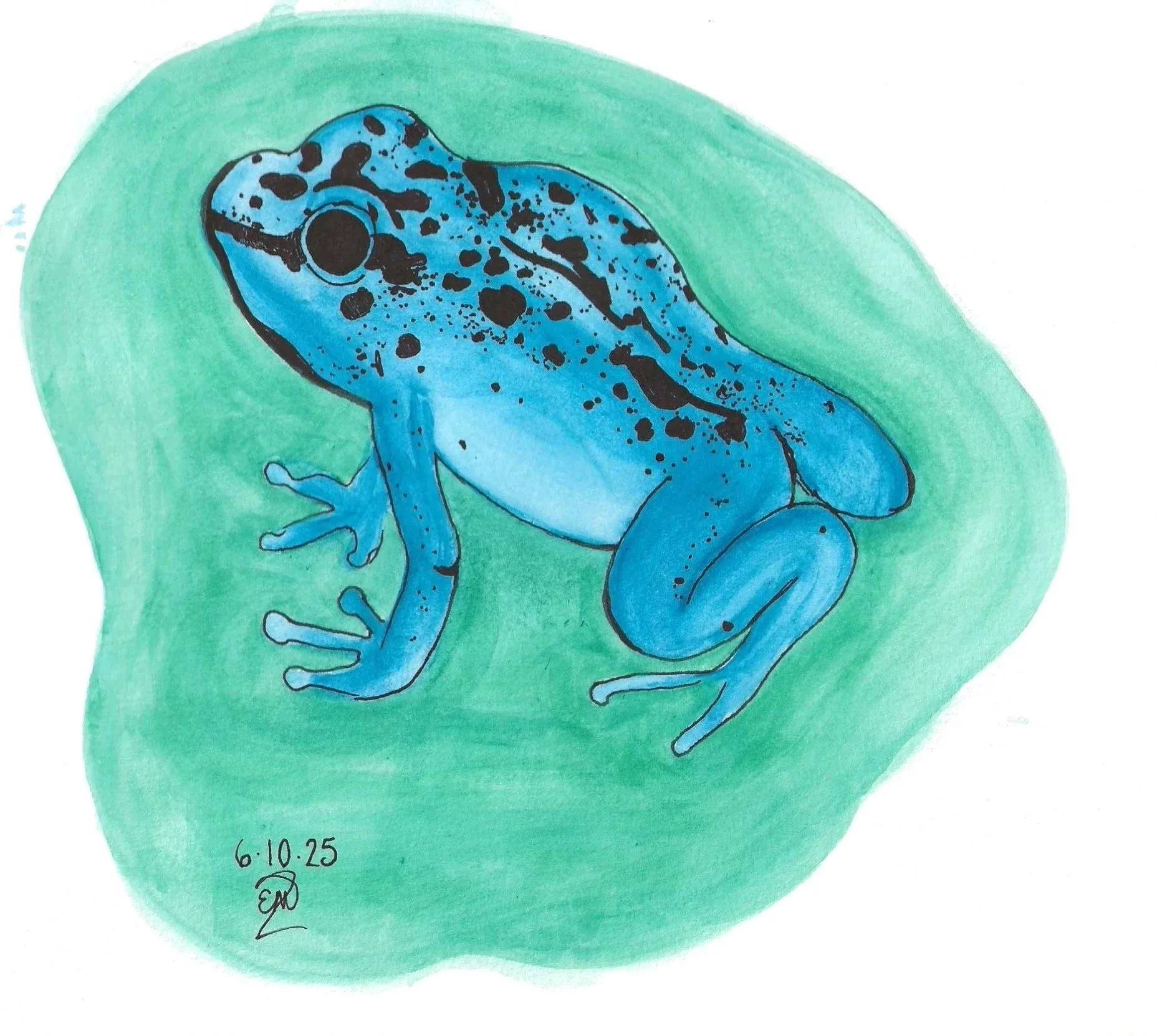 frog61025.jpg
