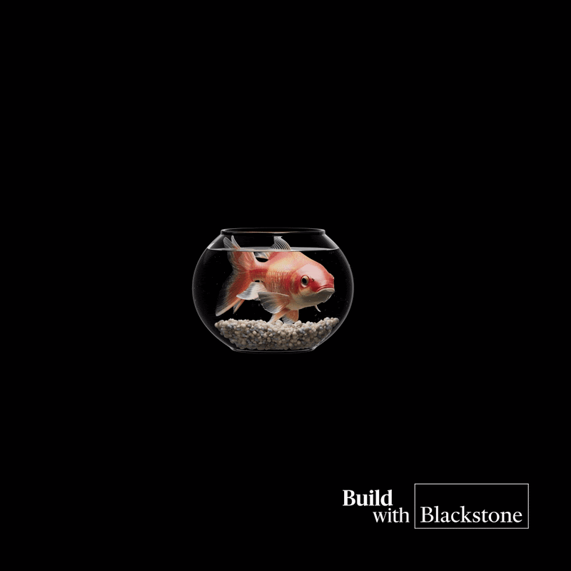 Blackstone - Making the Connection