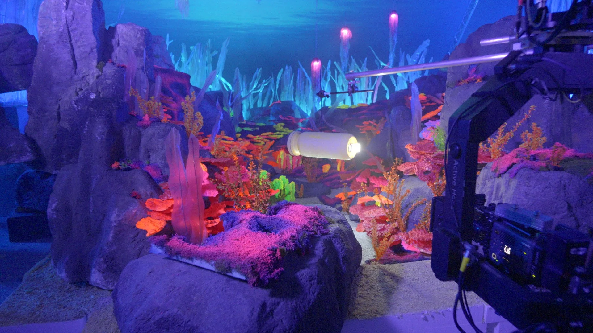 carousel_05.jpg