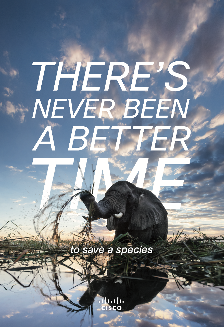 Cisco - There's Never Been A Better Time