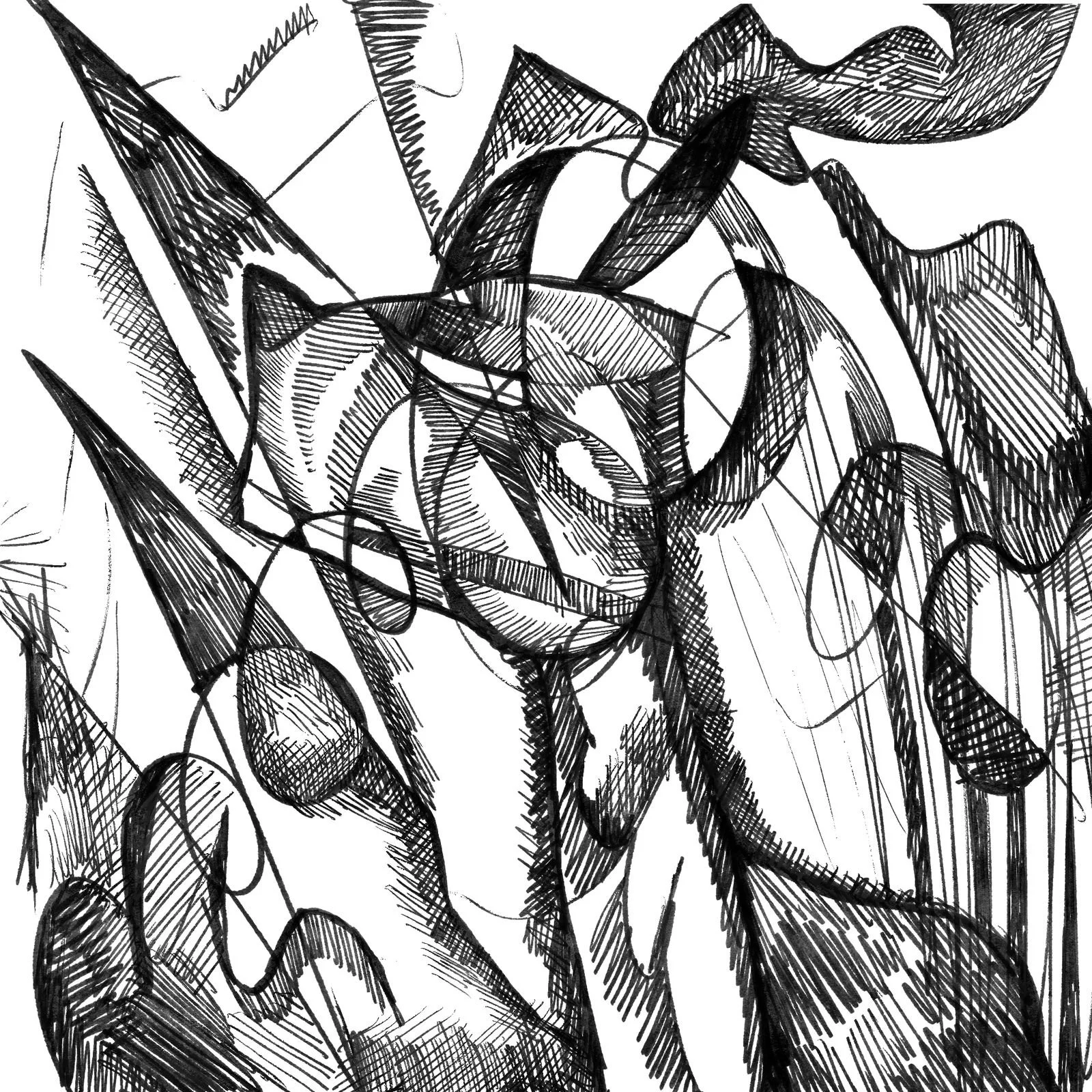 WhatsApp Image 2026-04-16 at 7.48.43 AM (2).jpeg