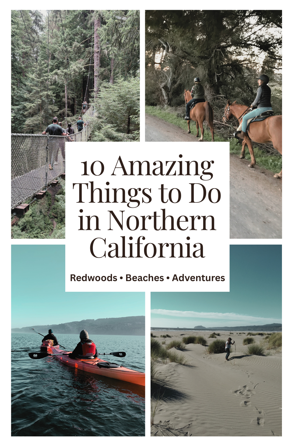 10 Amazing Things to Do in Northern California's Humboldt County