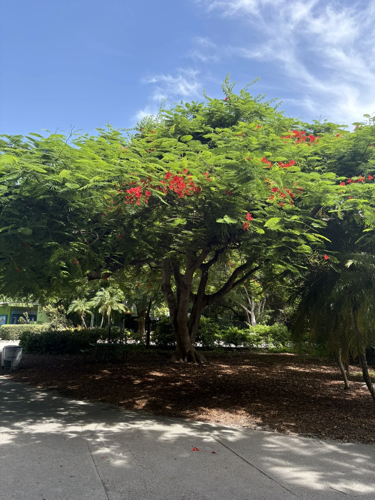 IMG_7064.JPEG