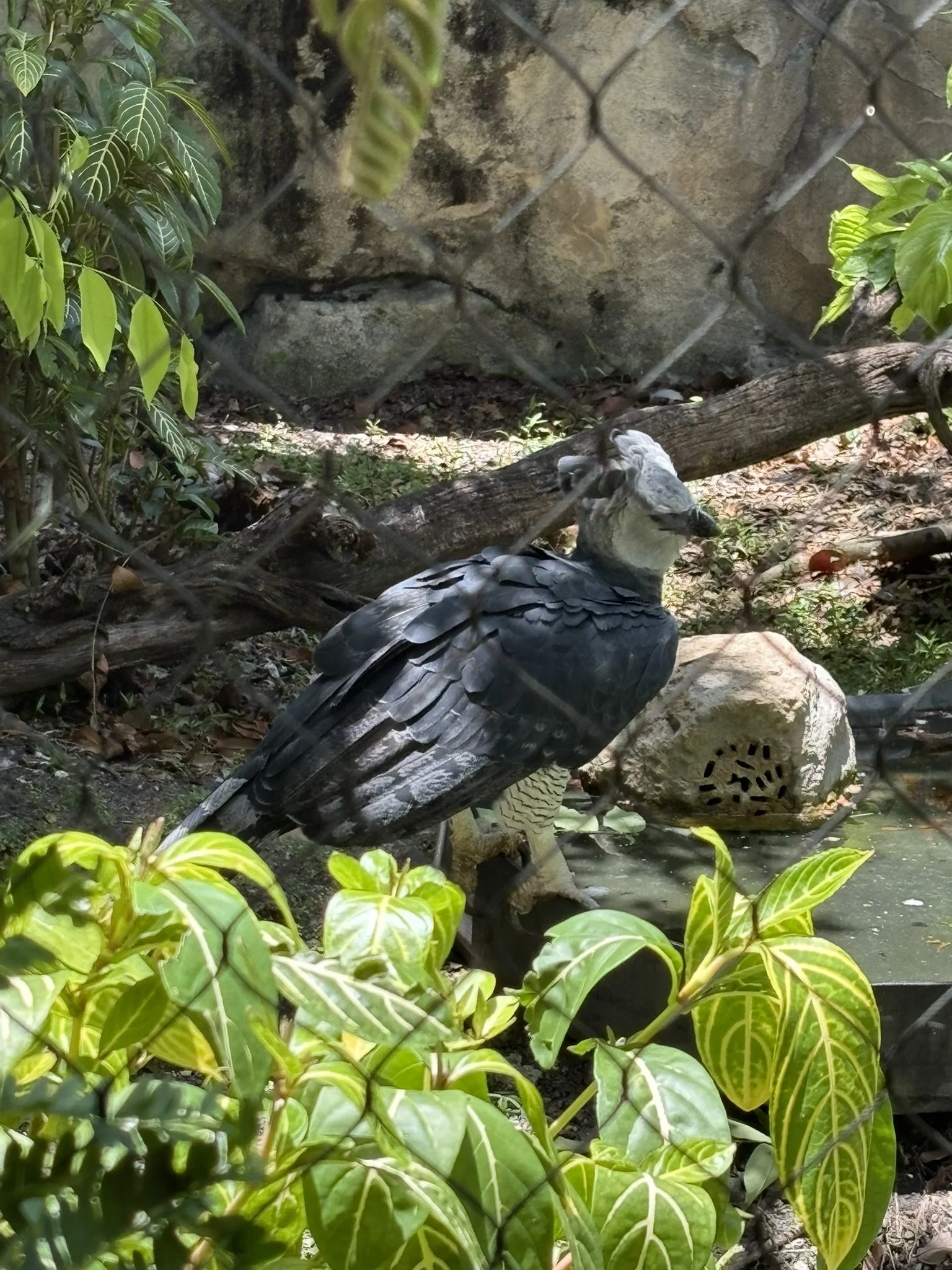 IMG_7097.JPEG