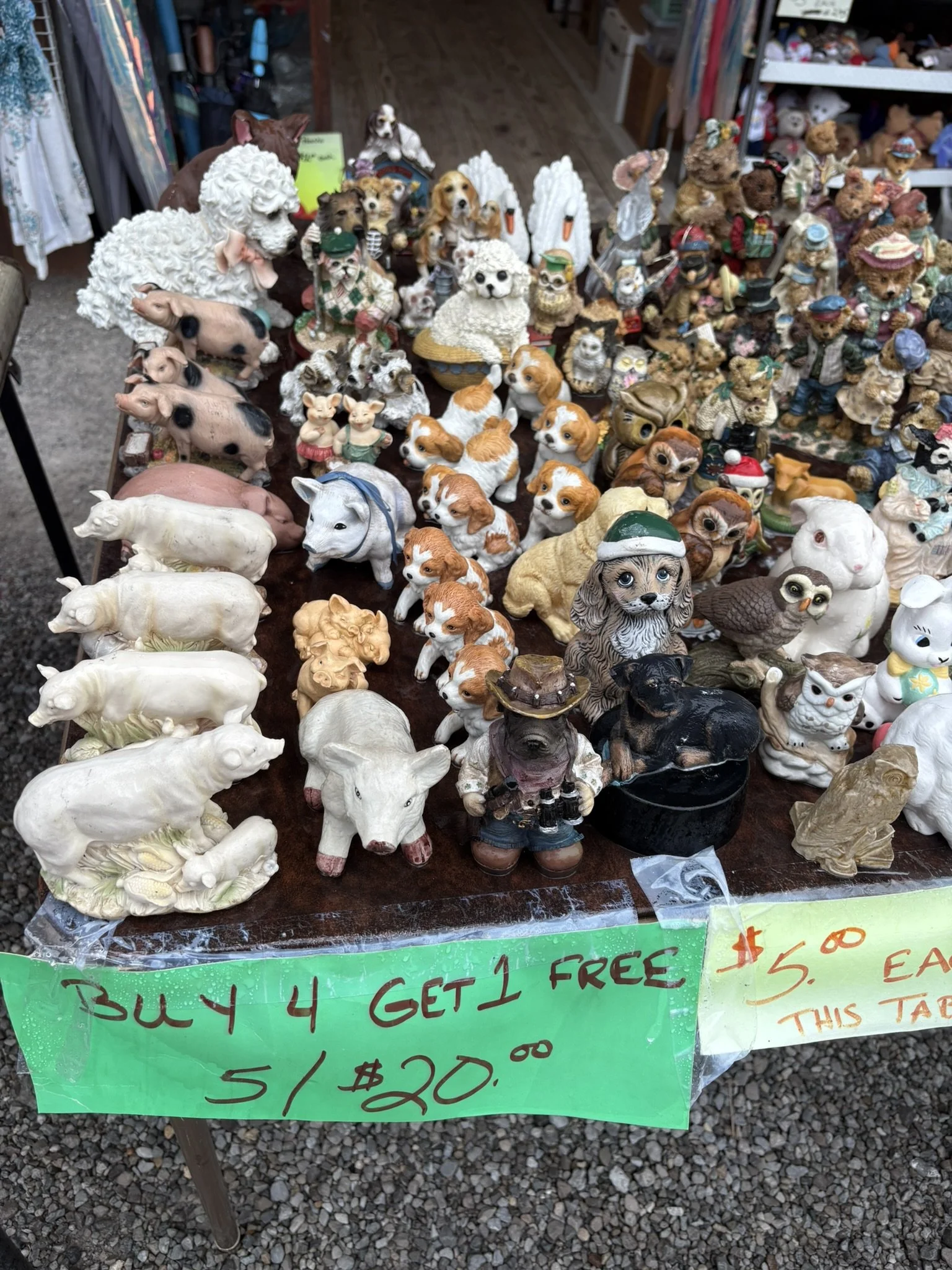 IMG_8108.JPEG