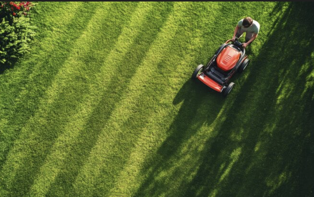 First cut 30% off