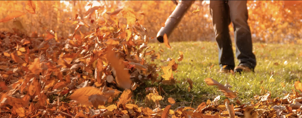 Leaf/yard pickup