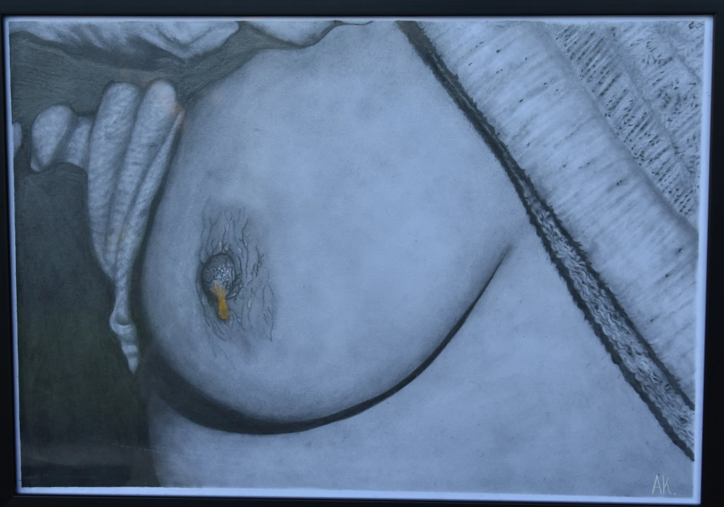 DSC_0393.jpeg