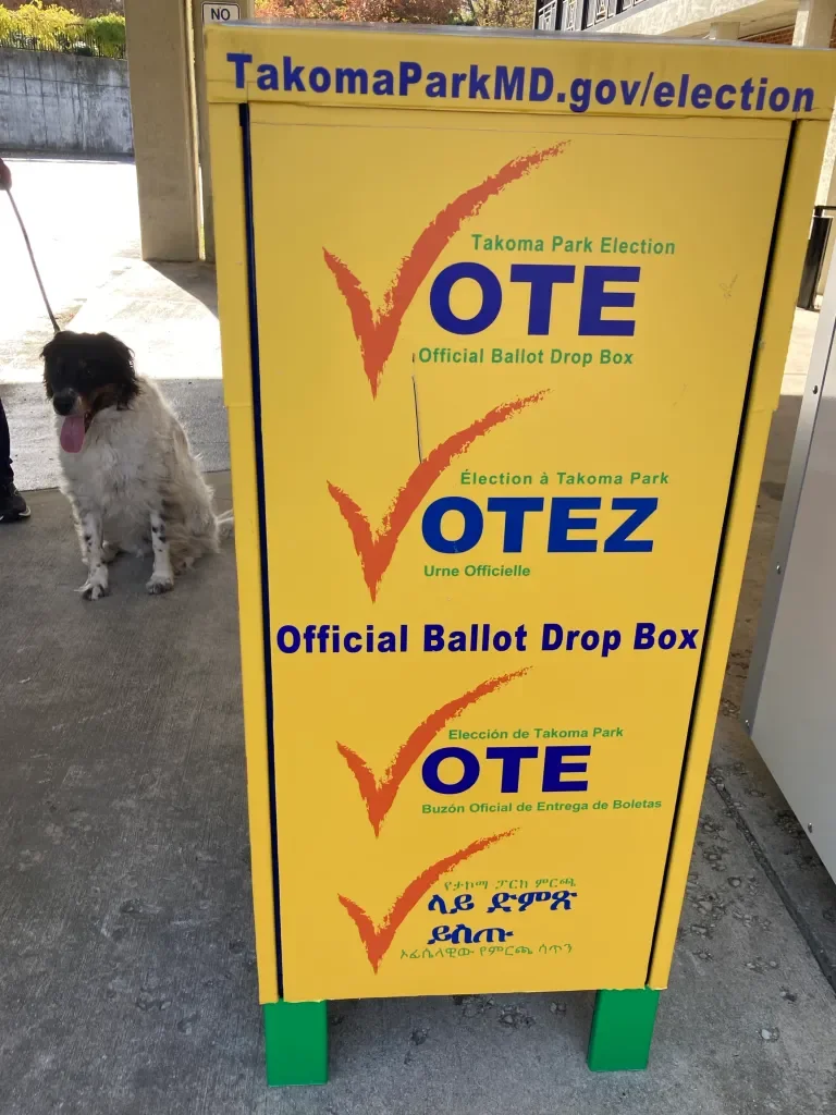 Takoma Park ballots mailed to all registered voters