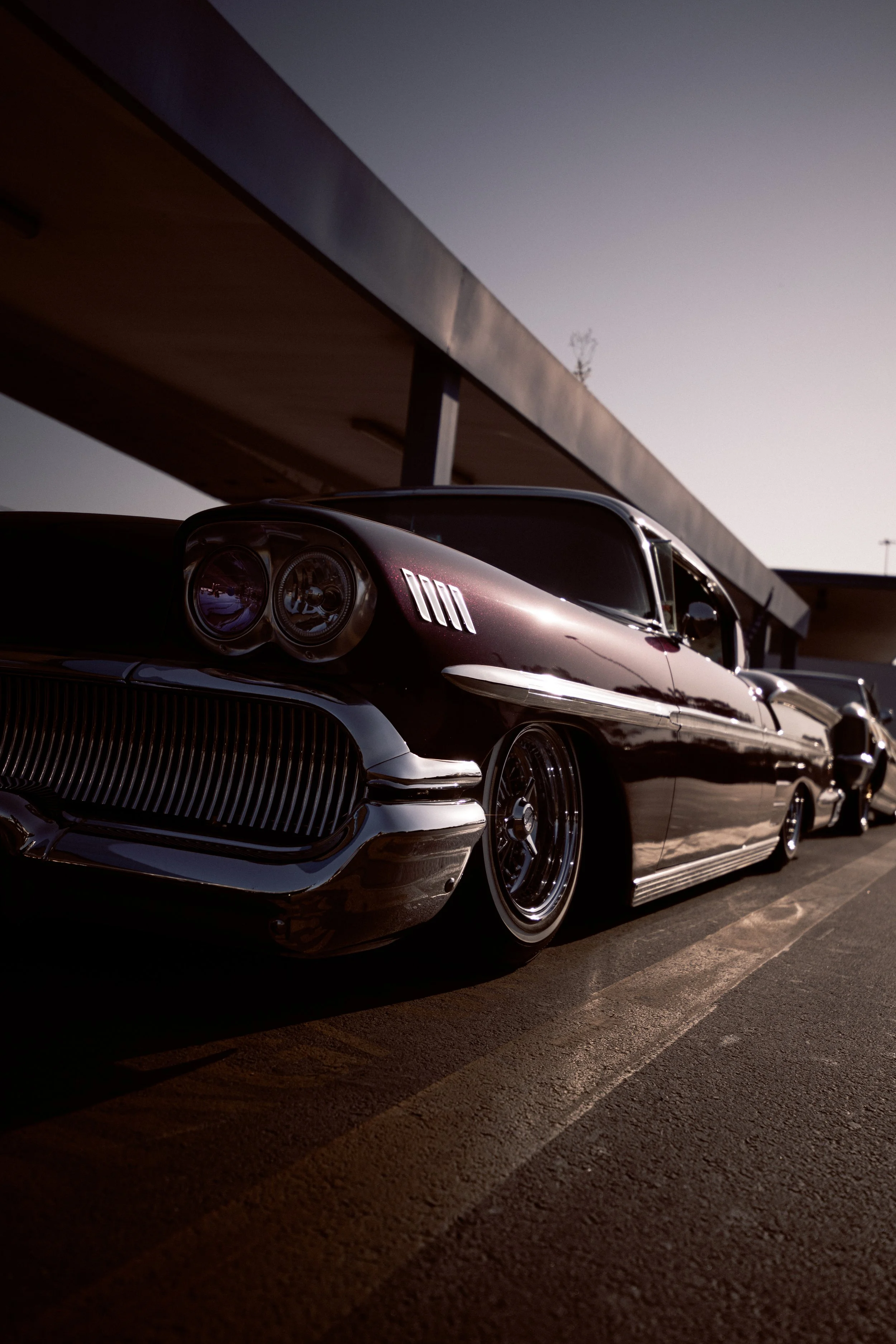Laid Out Impala