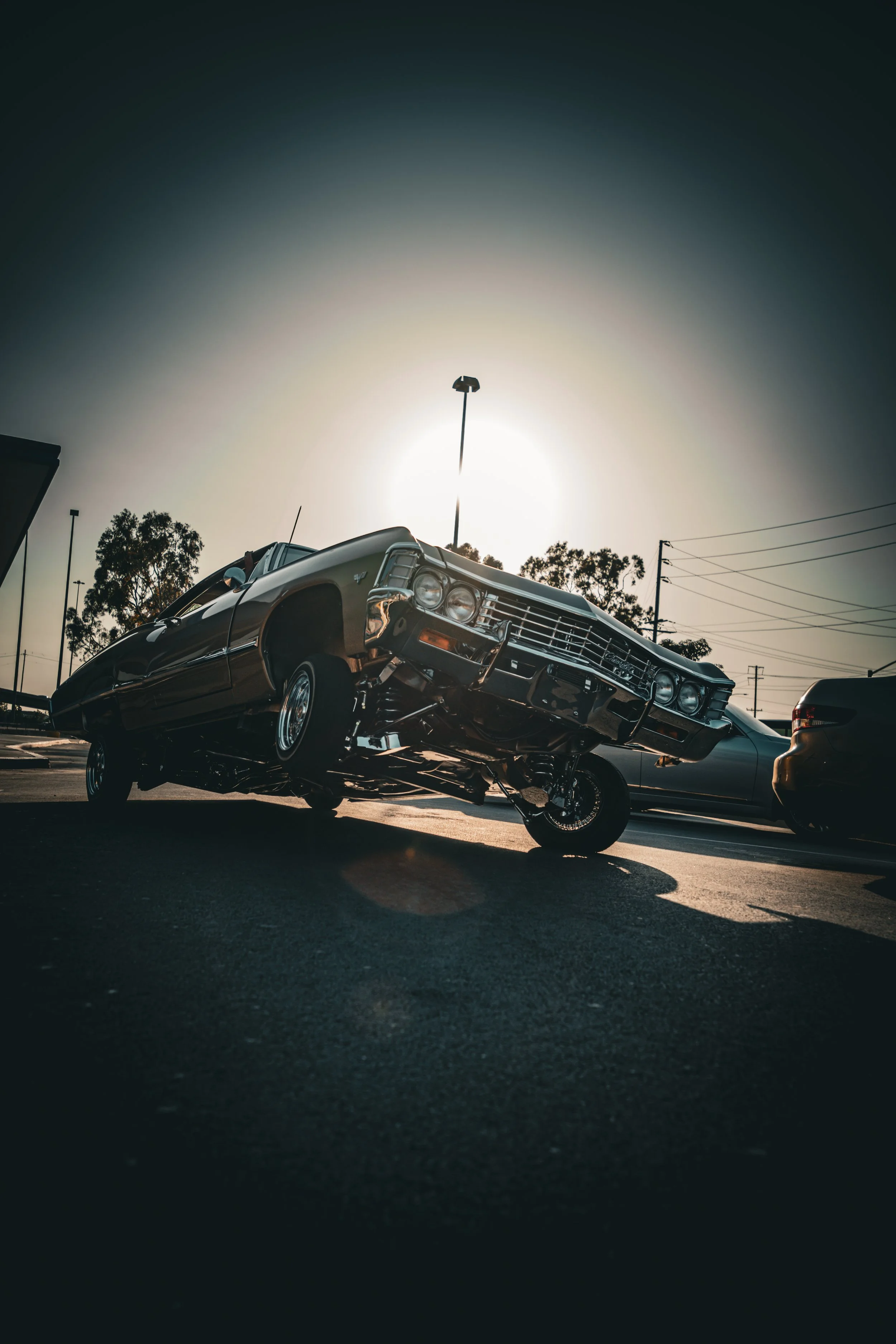 Hydraulic Stance