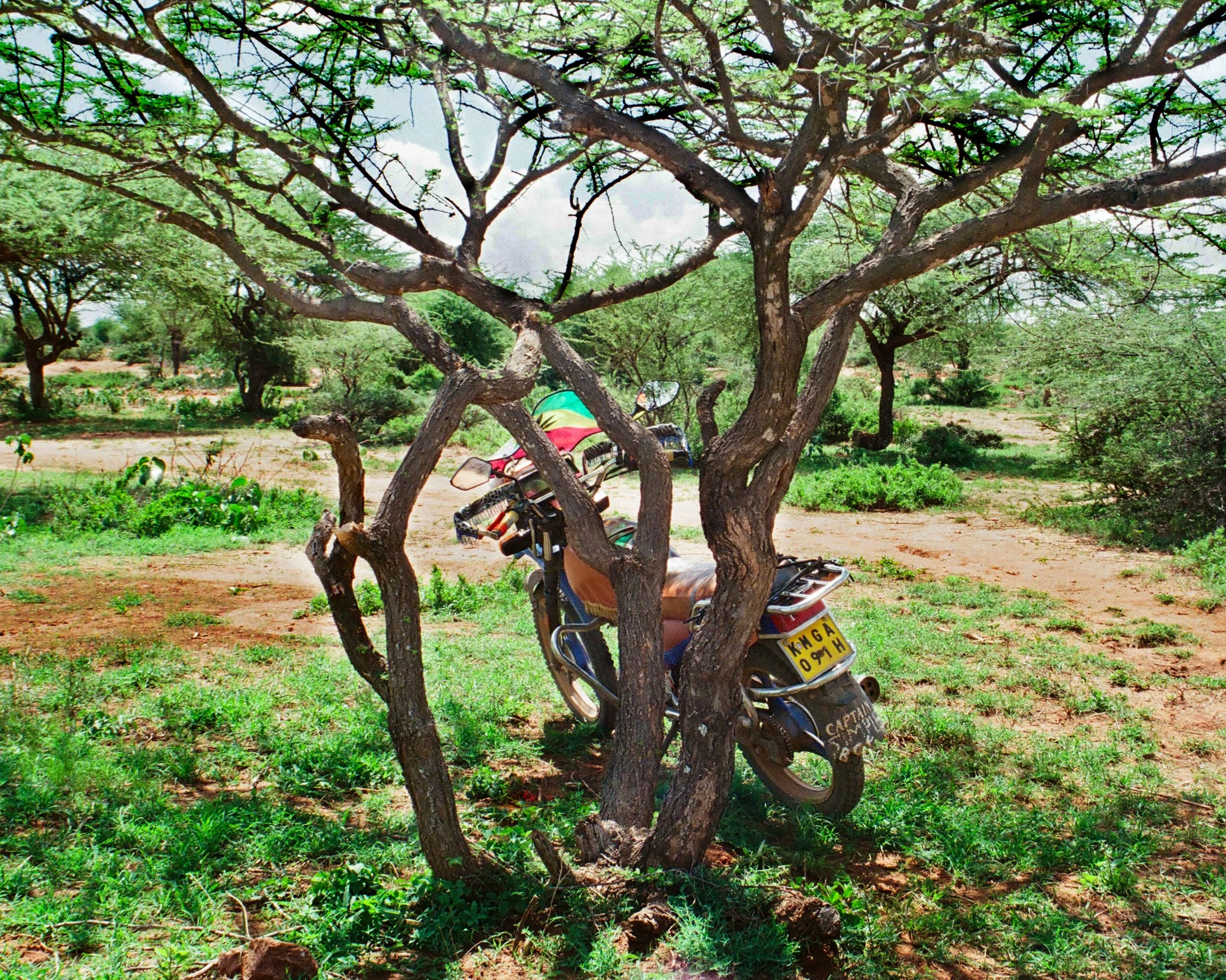 KENYA 5.1.jpg