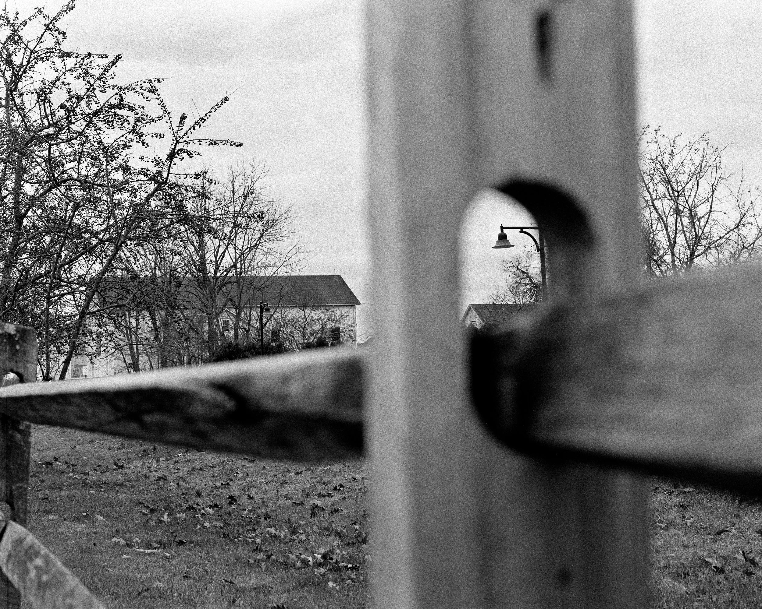 FENCES 1.2.jpg