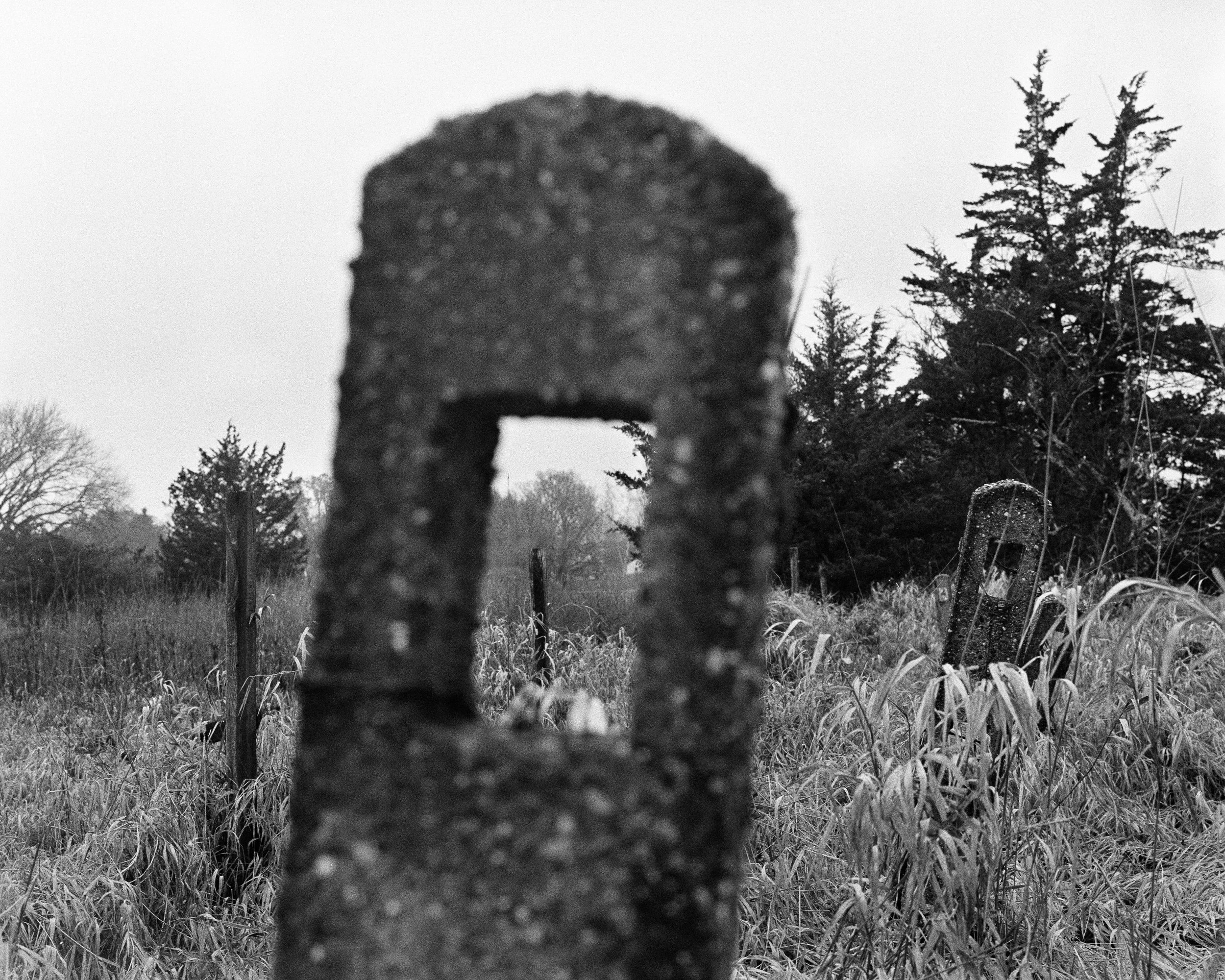 FENCES 4.jpg