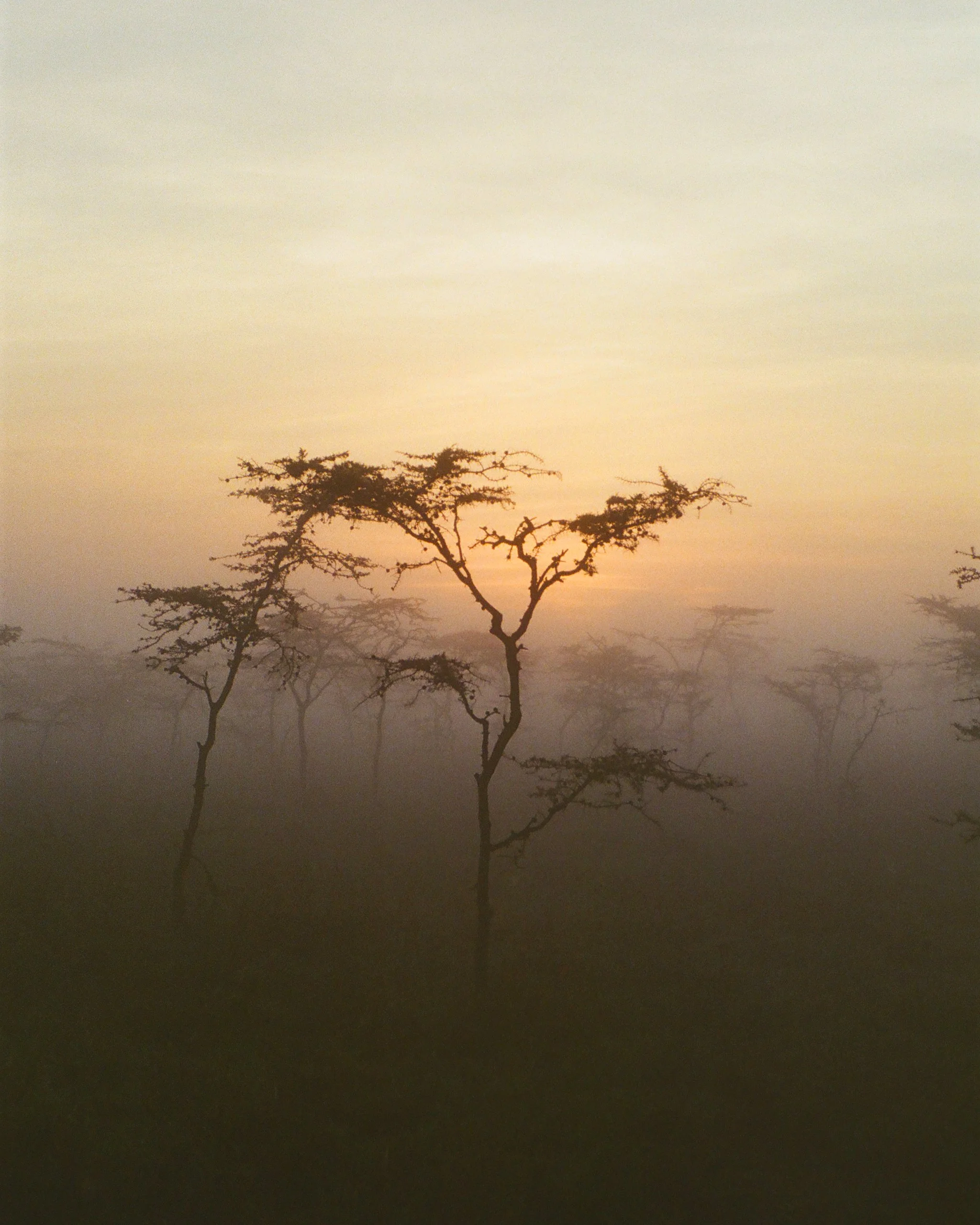 Kenya 2.1.jpg