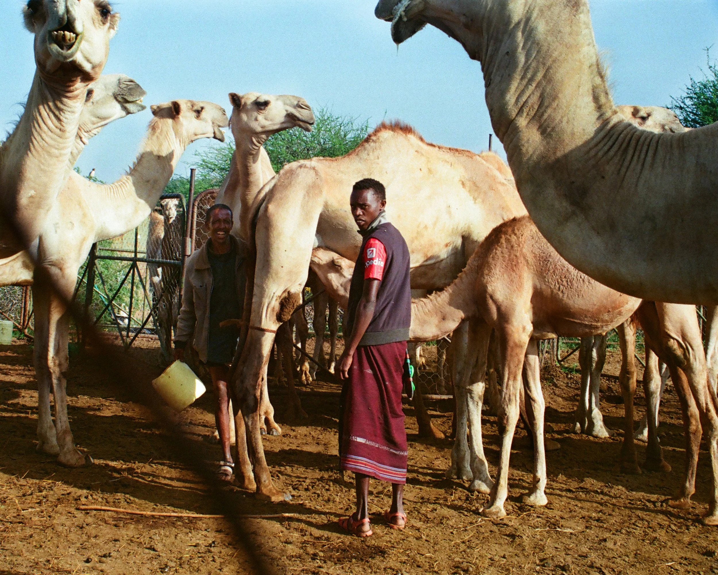 KENYA 2.jpg