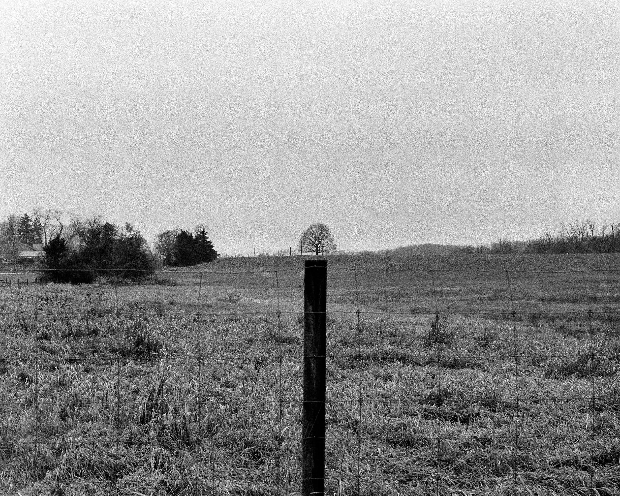 FENCES 6.1.jpg