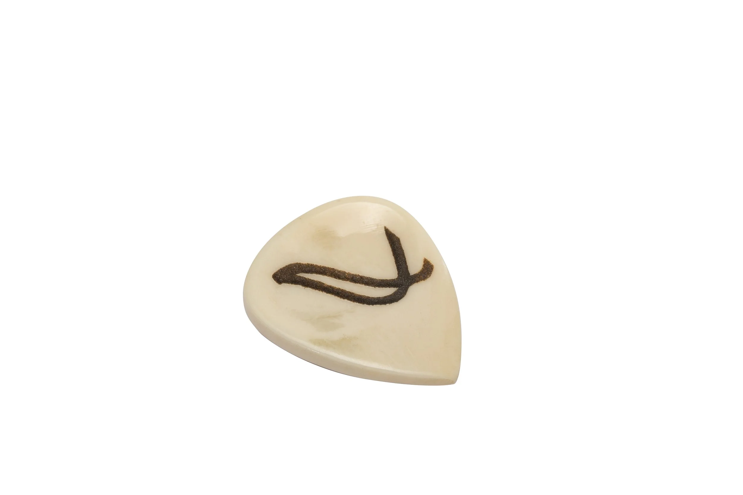 white bone_01.jpg