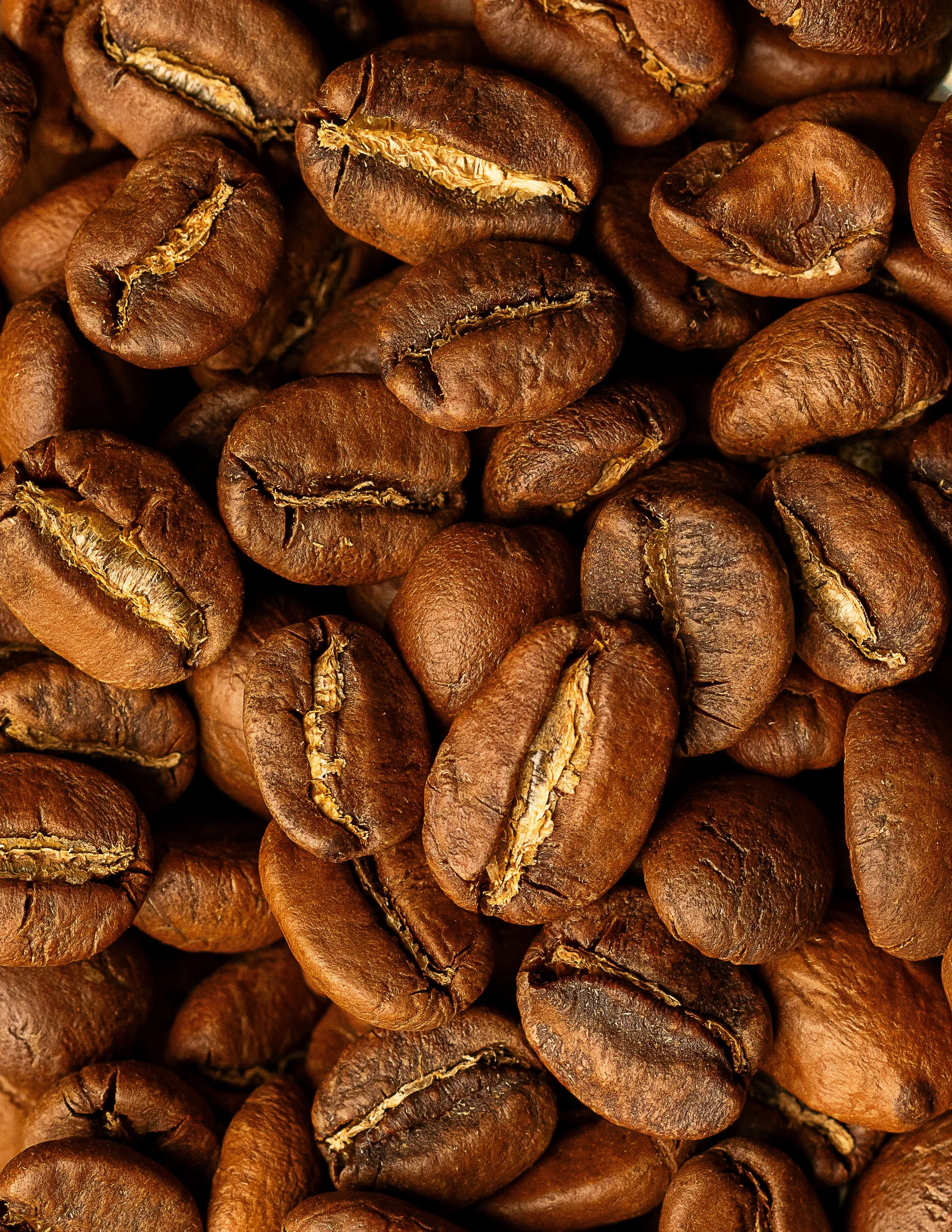 Close-up of roasted coffee beans with a shiny and textured surface.