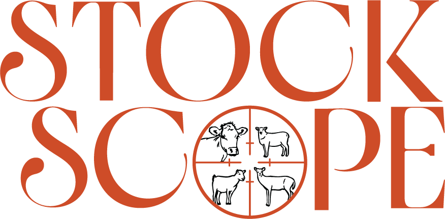 Stock Scope - Alternative Logo