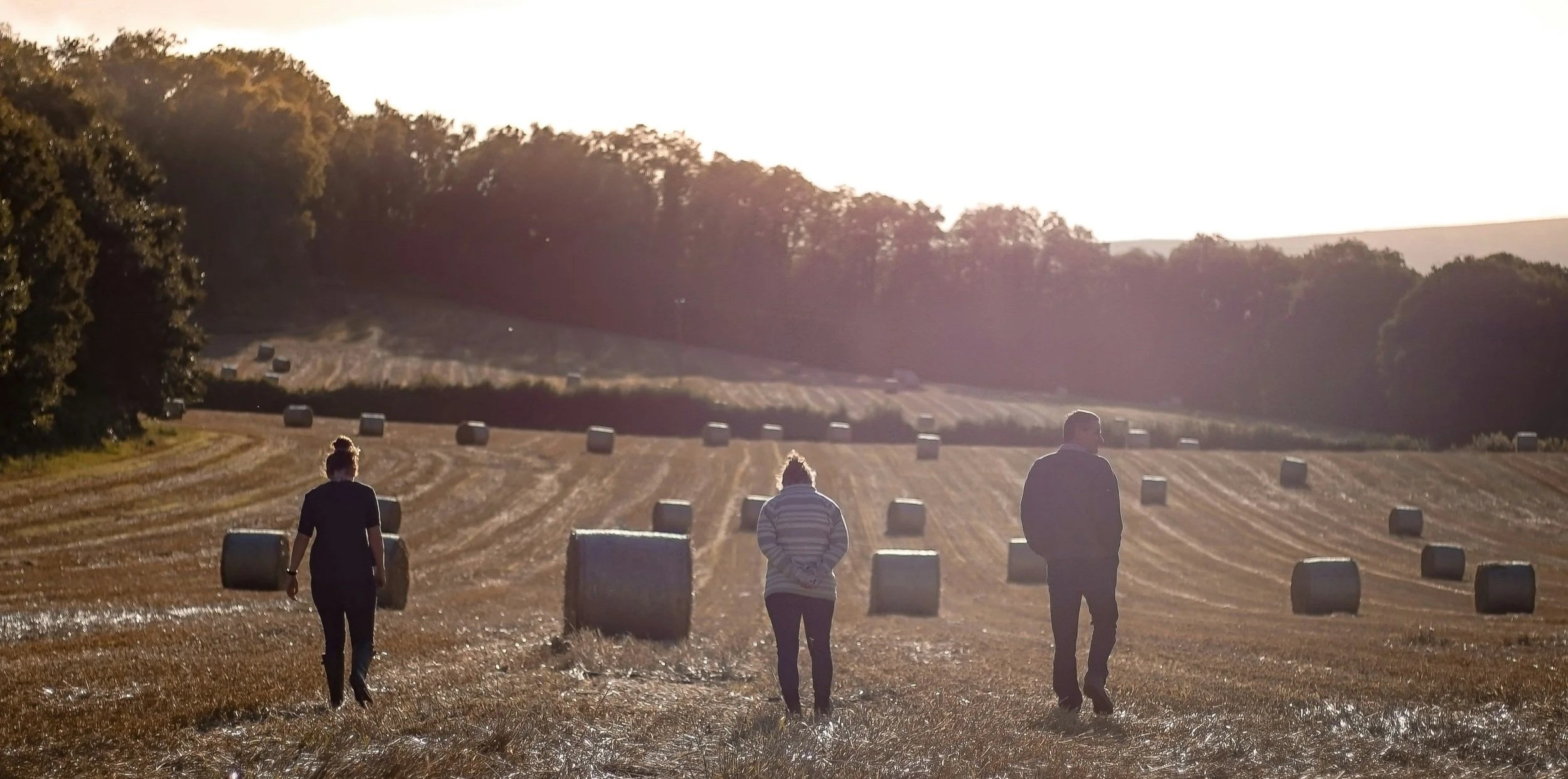 Three people walking through a farm field with hay bales, trees and a hill in the background, during sunset.