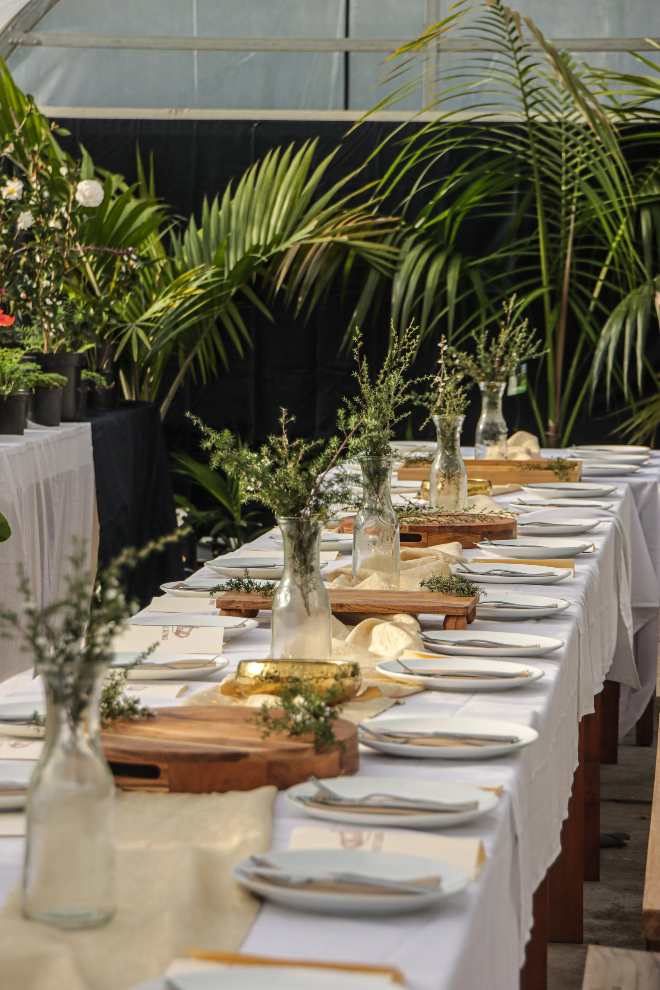 A long dining table set for a formal event with white tablecloths, white plates, and gold accents. Decorated with glass vases containing greenery and small flowers, placed on wooden chargers. The background shows lush green plants and a black backdrop, suggesting an indoor garden or greenhouse setting.