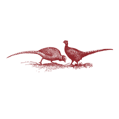 Silhouette of two dinosaurs, possibly a T-Rex and a smaller theropod, on a rocky landscape.